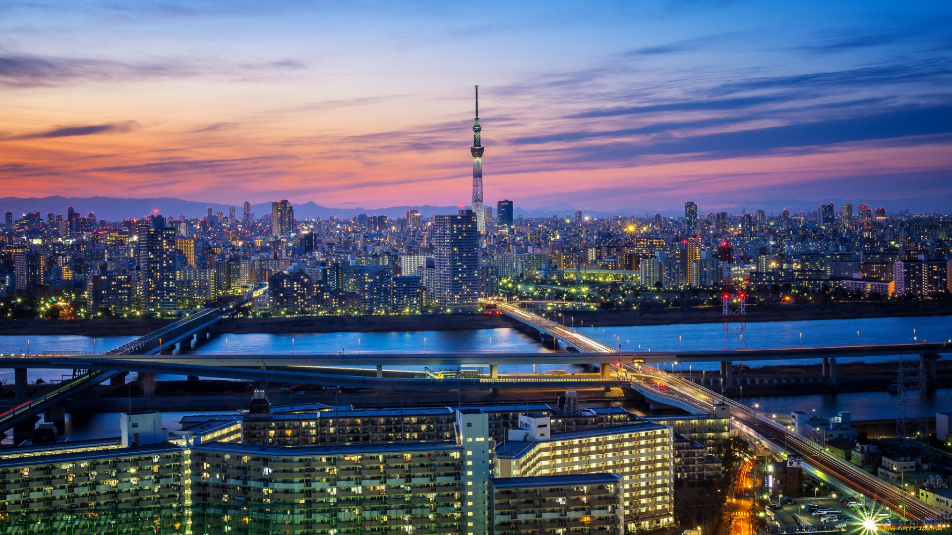 города, токио, , Япония, ночь, токио, мегаполис, tokyo, огни