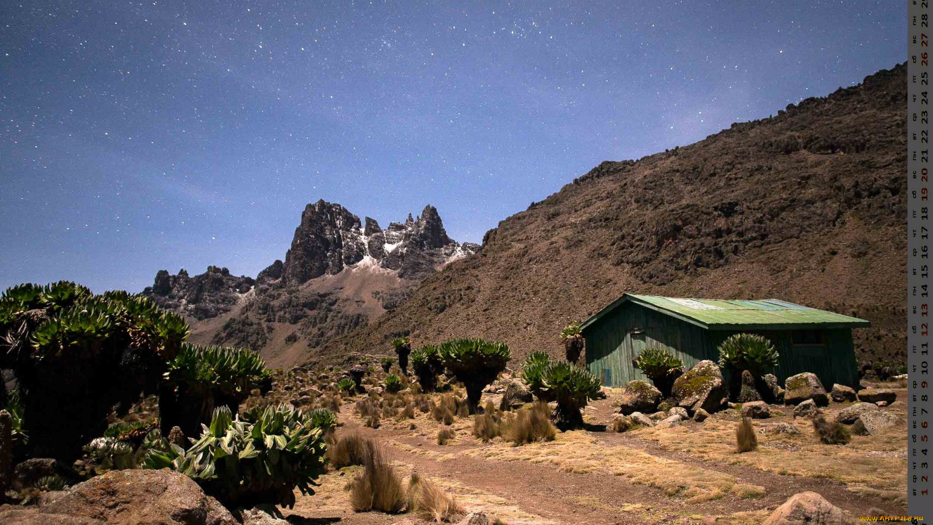 календари, города, растения, скала, постройка