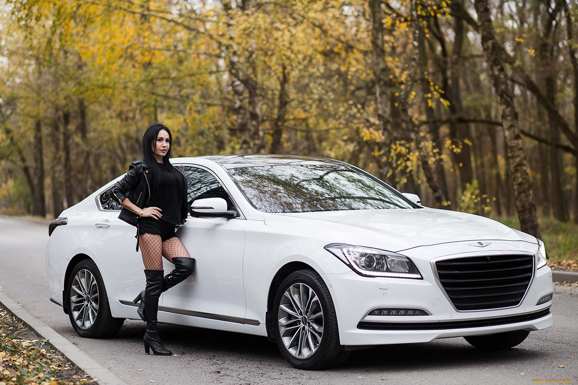 автомобили, -авто, с, девушками, девушки, авто