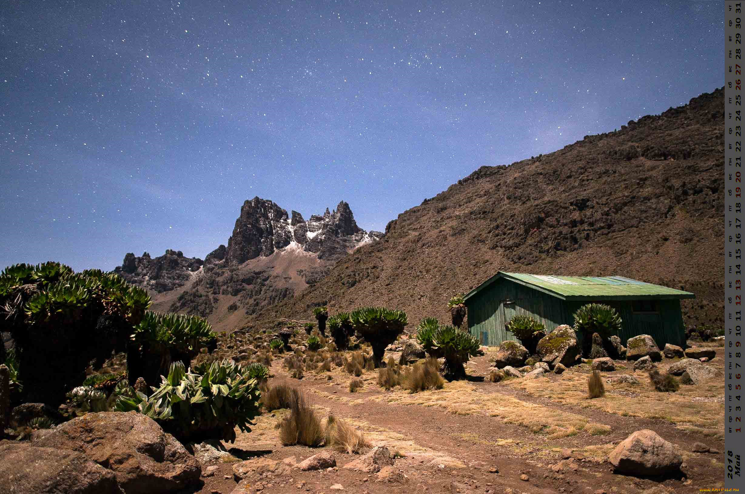 календари, города, растения, скала, постройка