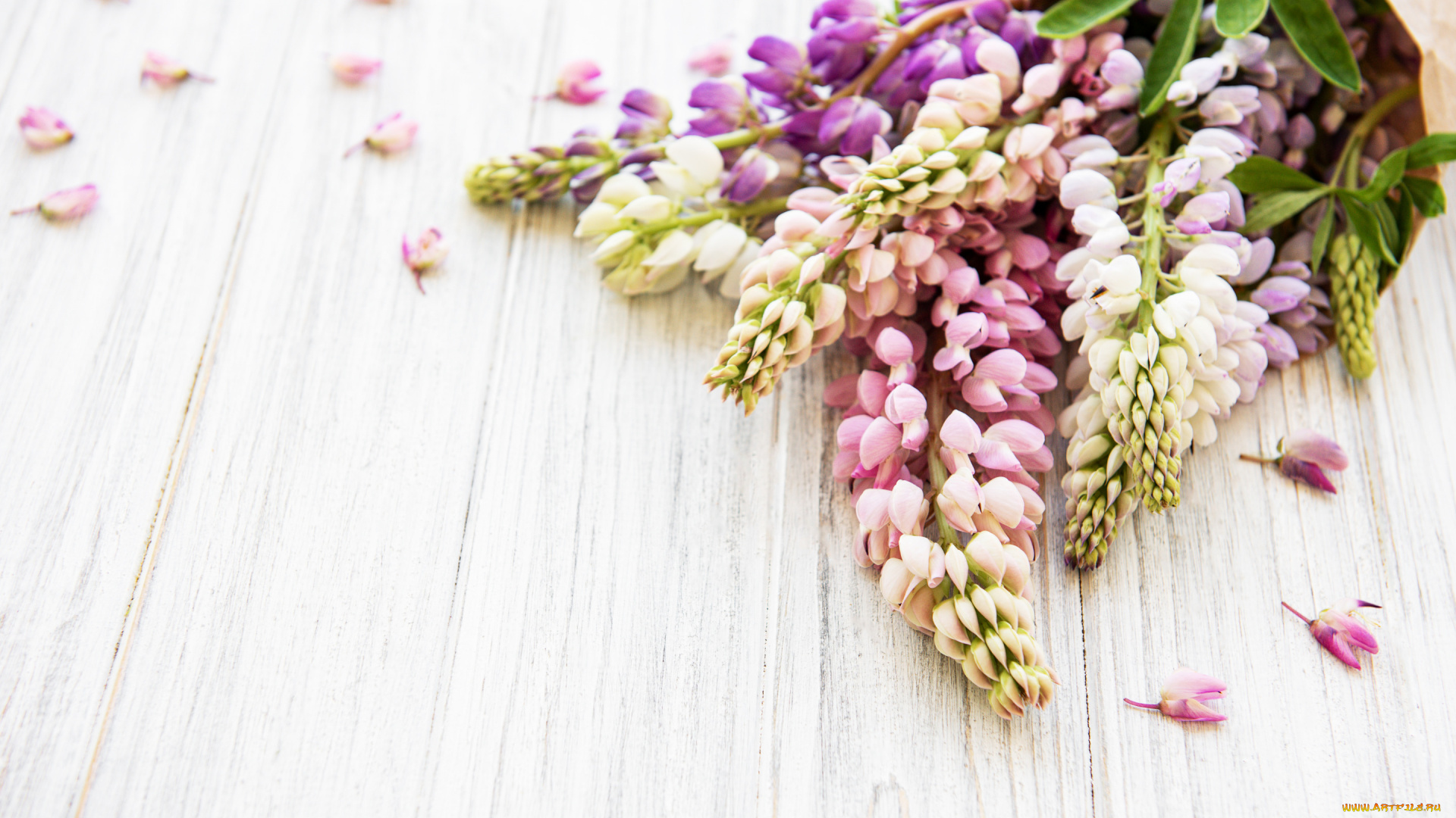 цветы, люпин, wood, pink, flowers, люпины, lupine