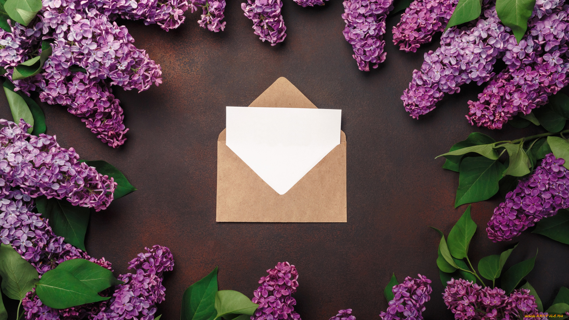 цветы, сирень, love, wood, flowers, romantic, letter, spring, purple, lilac