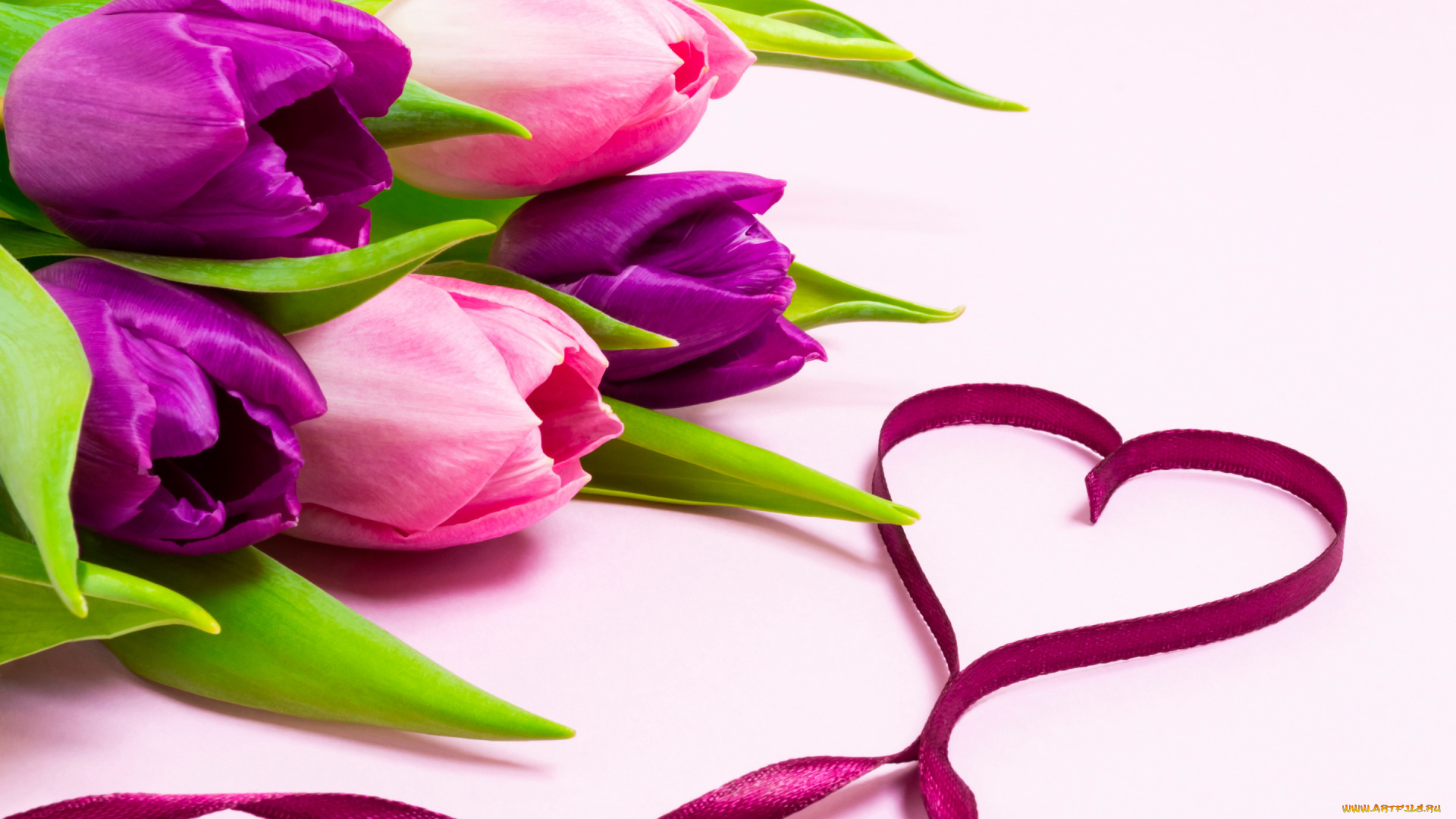 праздничные, день, святого, валентина, , сердечки, , любовь, любовь, цветы, сердце, букет, лента, тюльпаны, love, heart, pink, flowers, romantic, tulips, purple, ribbon