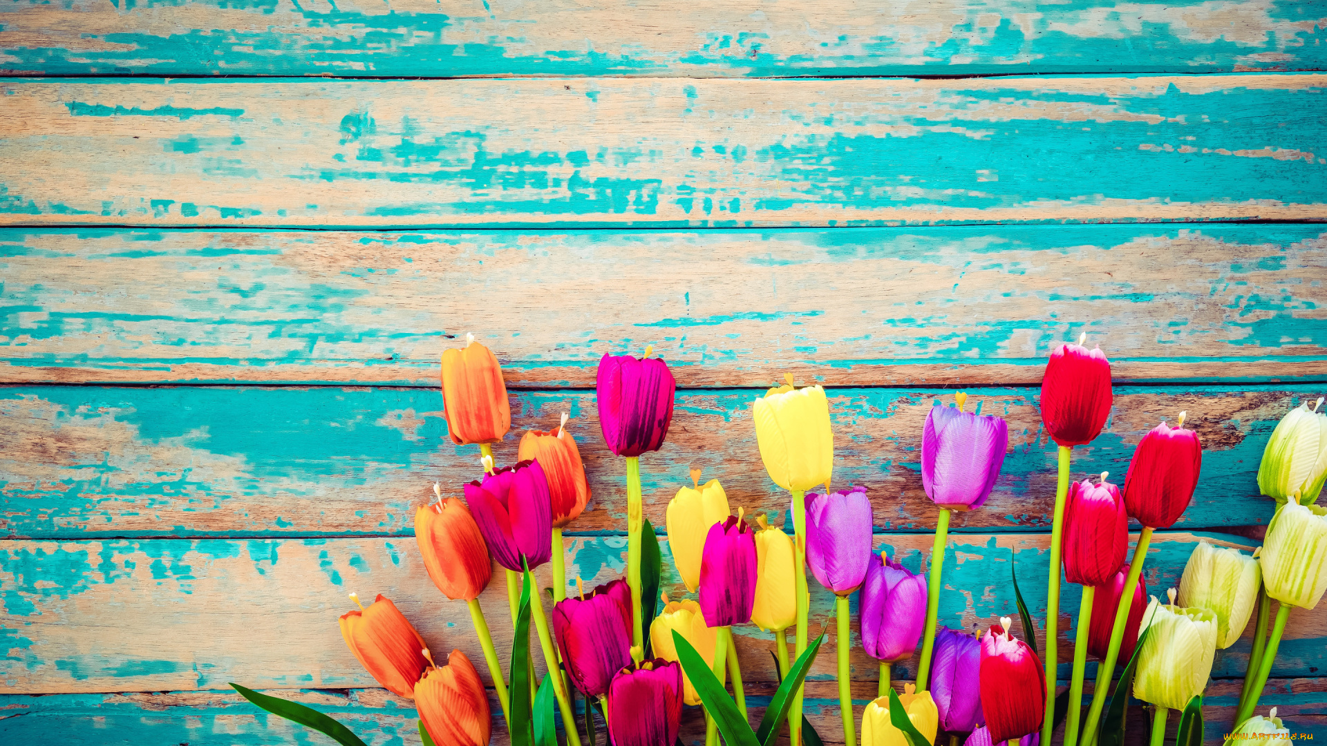 разное, ремесла, , поделки, , рукоделие, цветы, доски, colorful, тюльпаны, wood, flowers, tulips, grunge