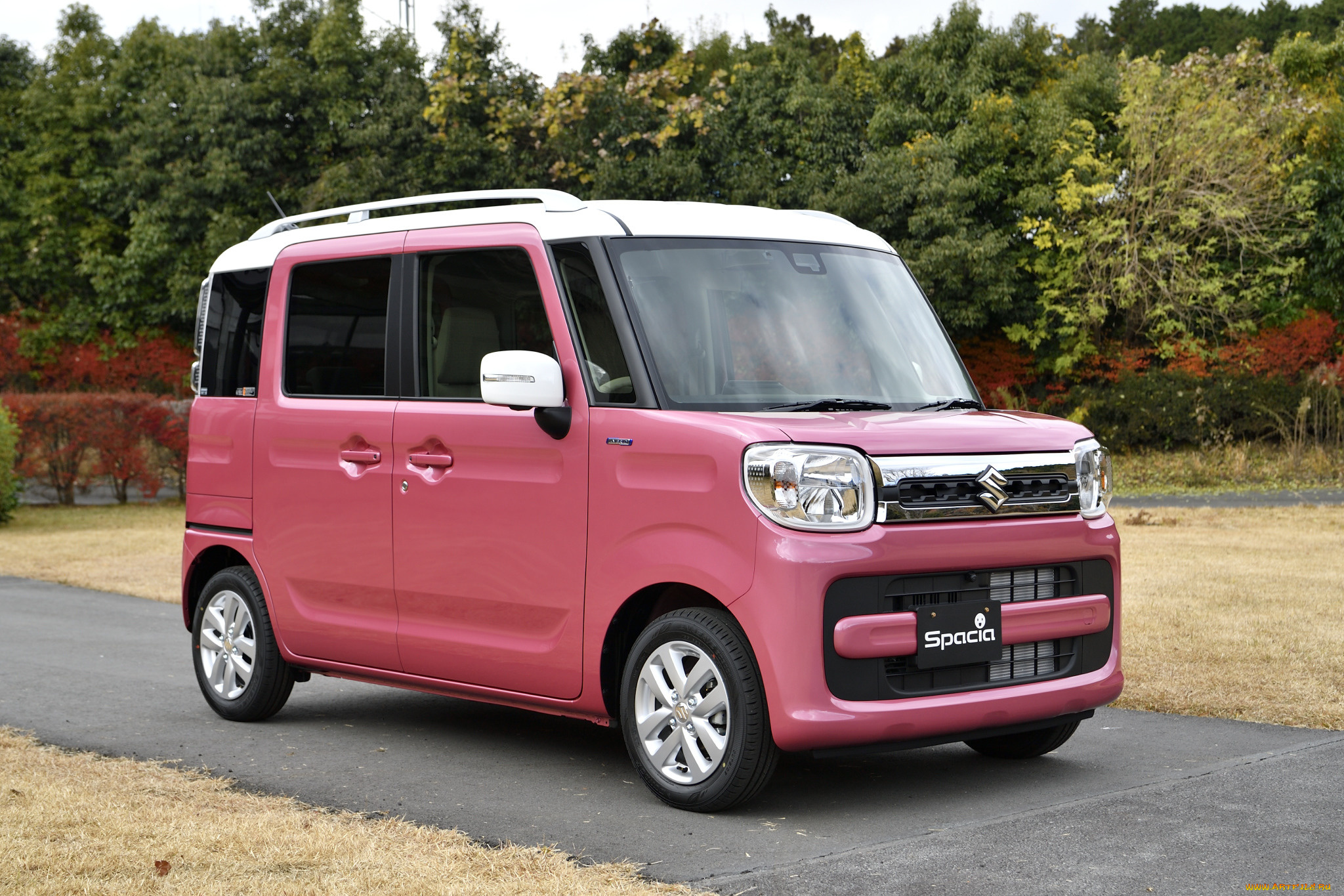 автомобили, suzuki