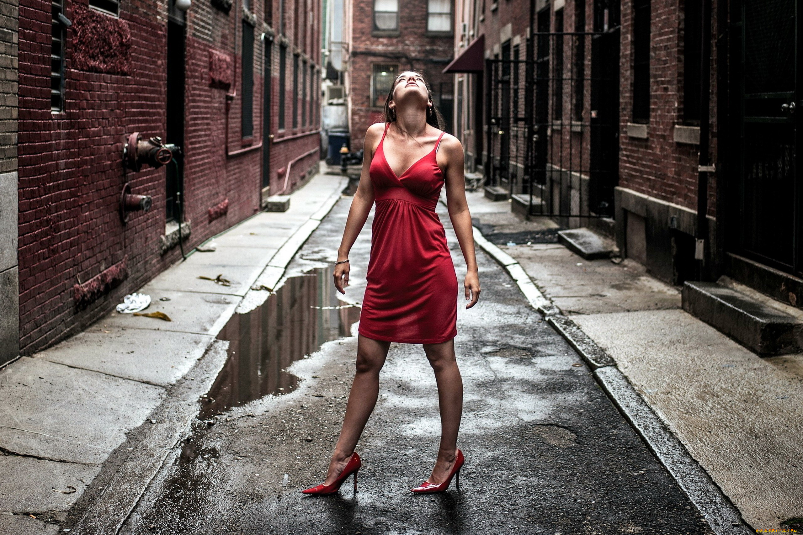 девушки, -, брюнетки, , шатенки, платье, шпильки