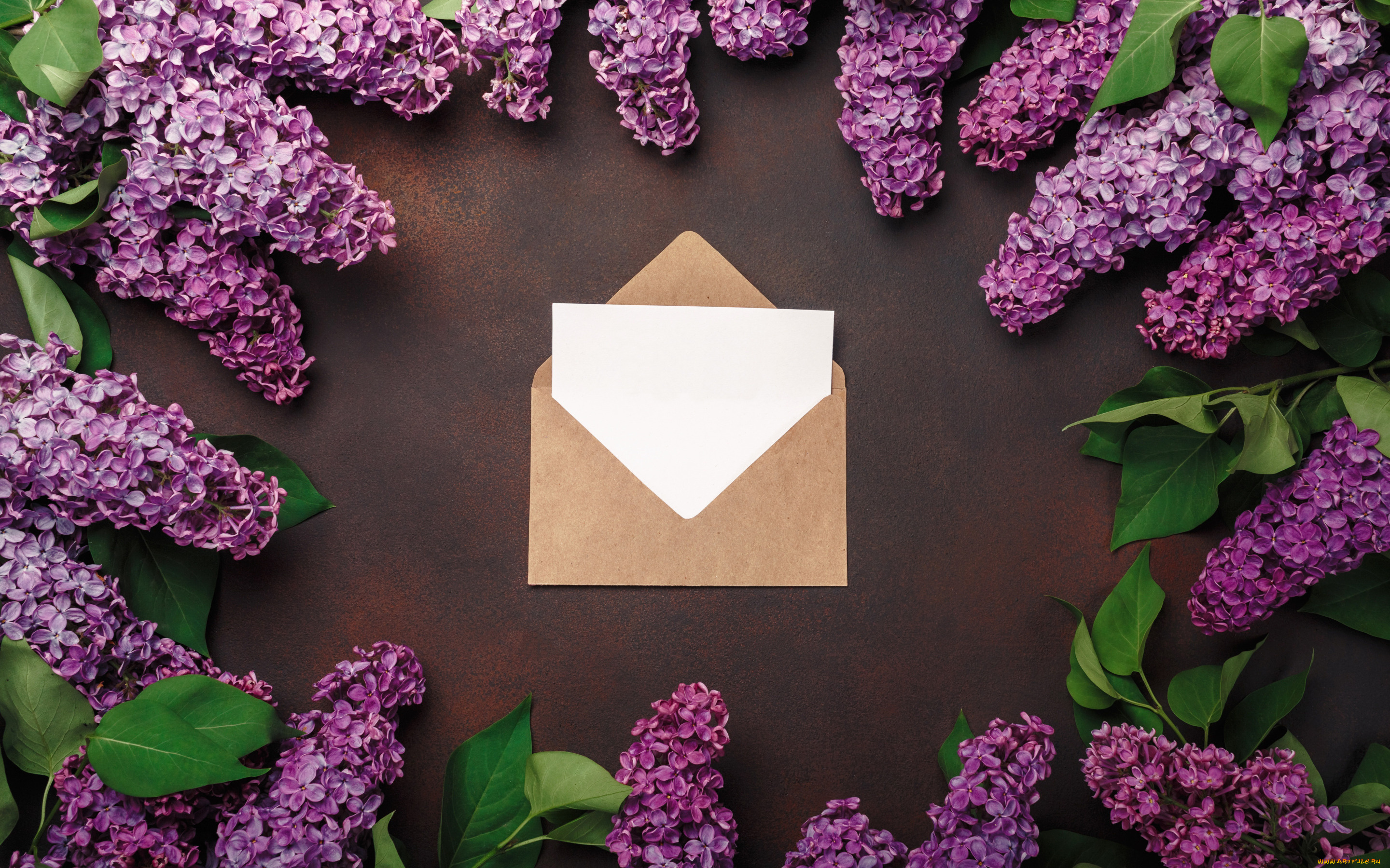 цветы, сирень, love, wood, flowers, romantic, letter, spring, purple, lilac