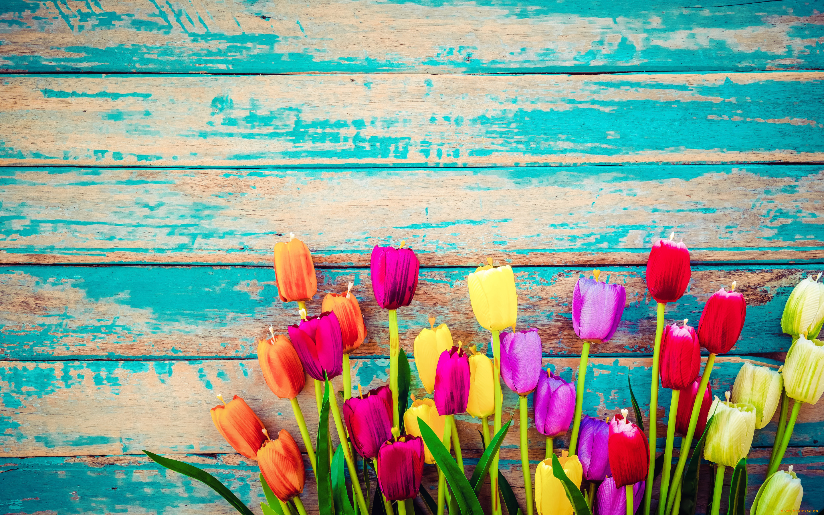 разное, ремесла, , поделки, , рукоделие, цветы, доски, colorful, тюльпаны, wood, flowers, tulips, grunge