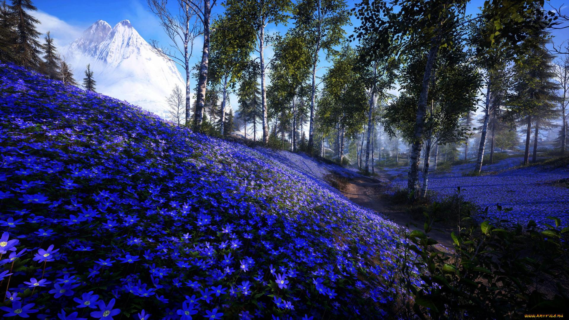 цветы, подснежники, , белоцветники, , пролески, пролески