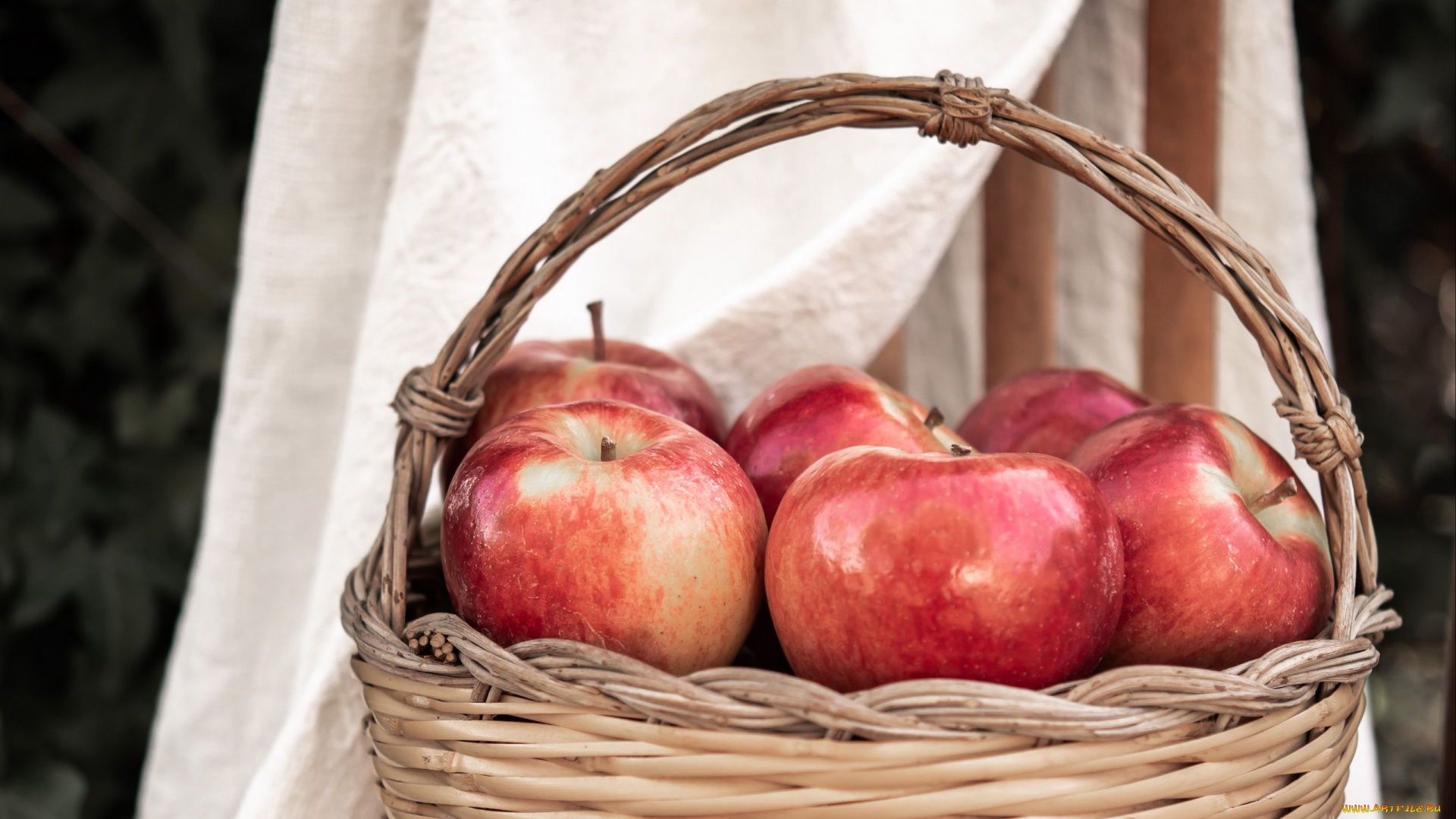 еда, яблоки