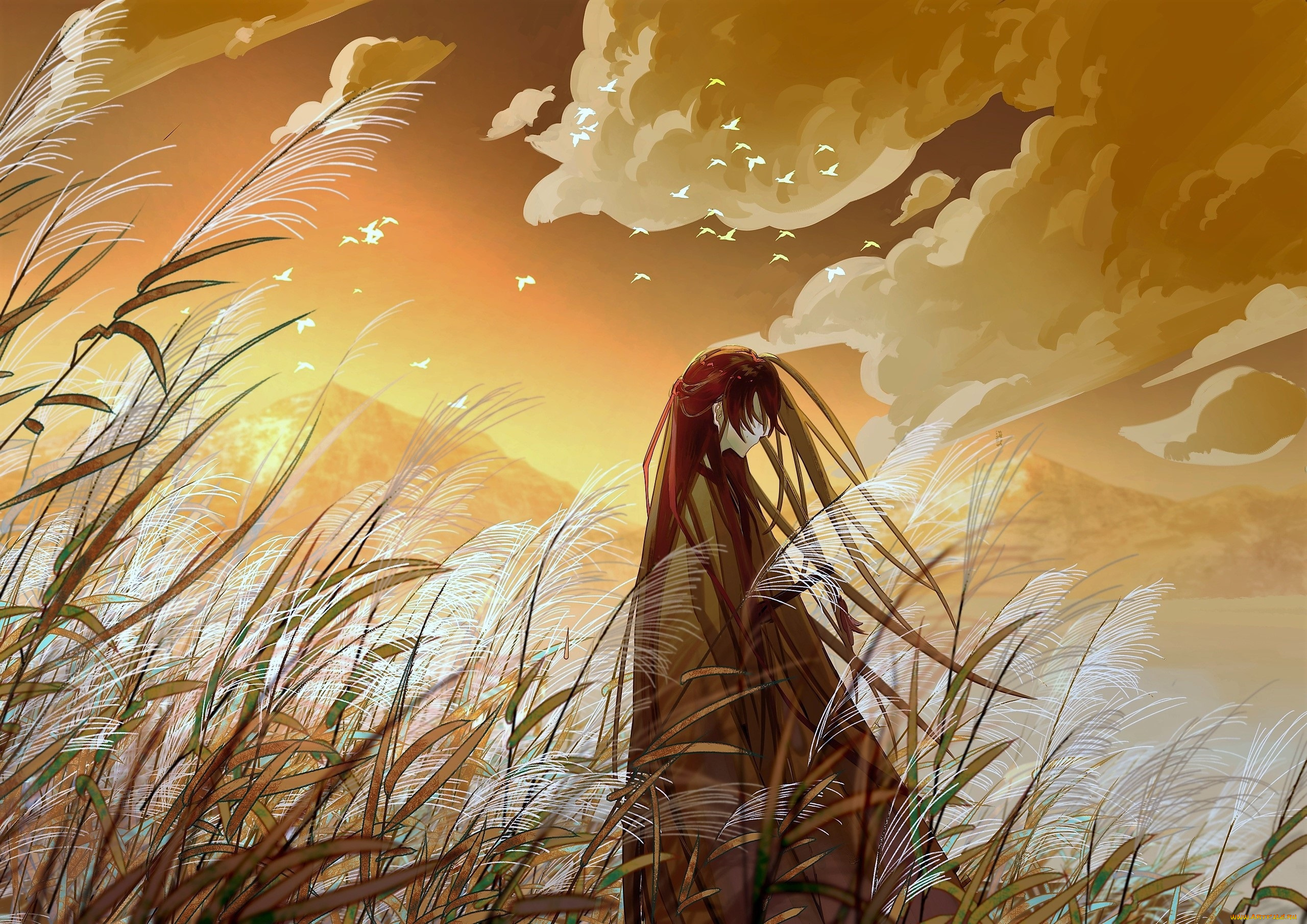 аниме, mo, dao, zu, shi, вэй, усянь, поле