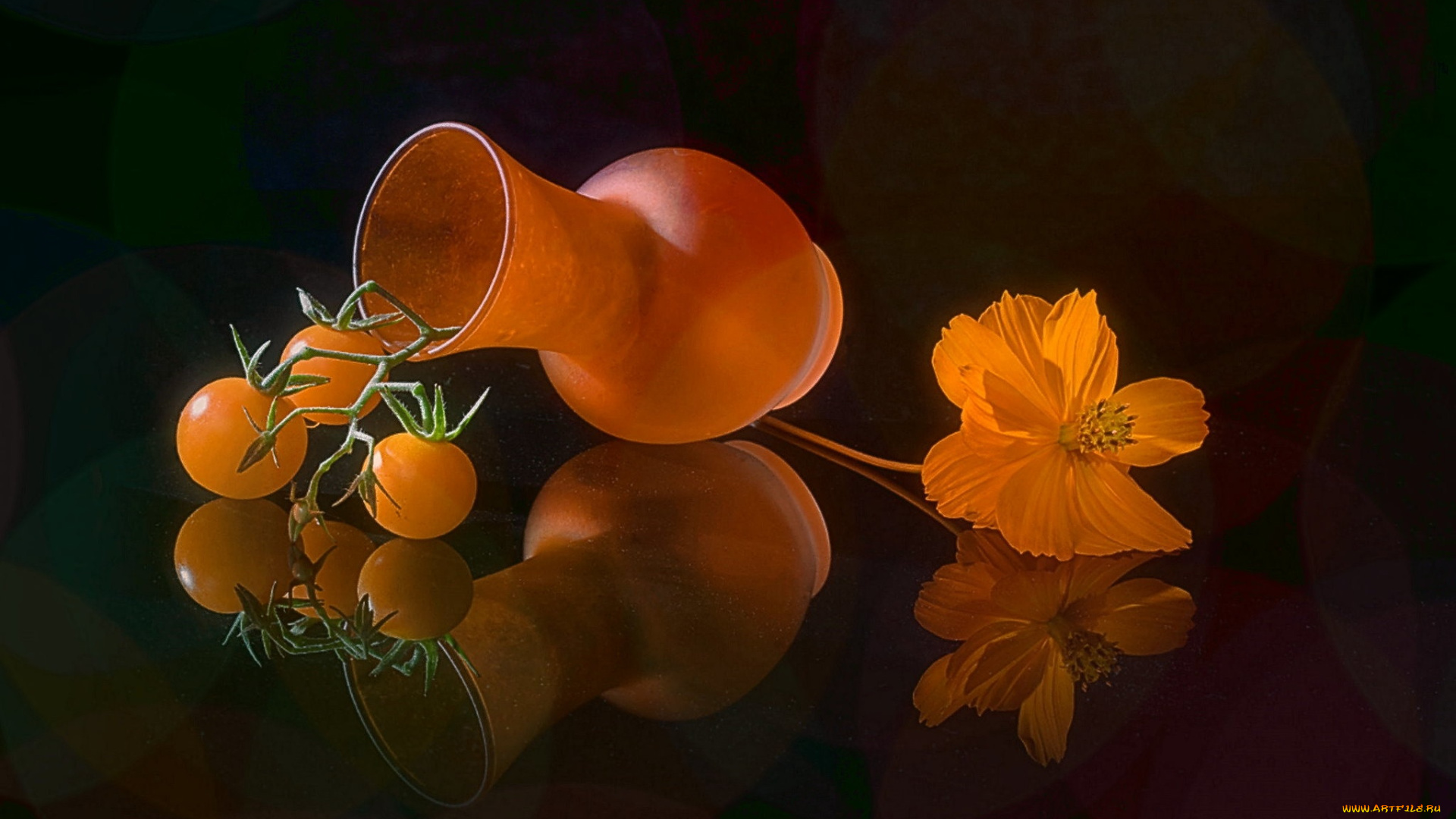 еда, натюрморт, помидоры