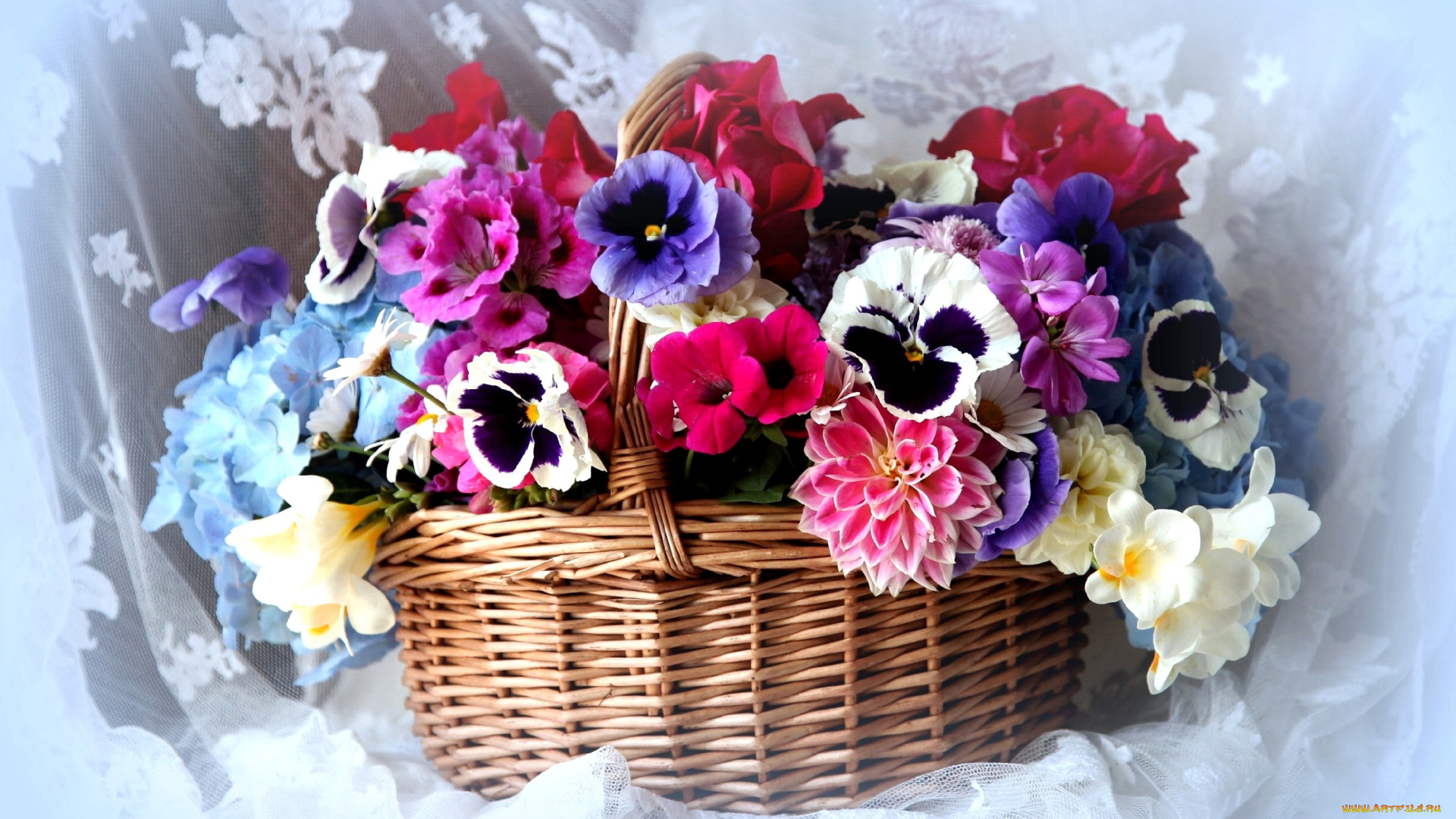 цветы, букеты, композиции, герань, петуния, гортензия, фрезия, розы, виола, корзина