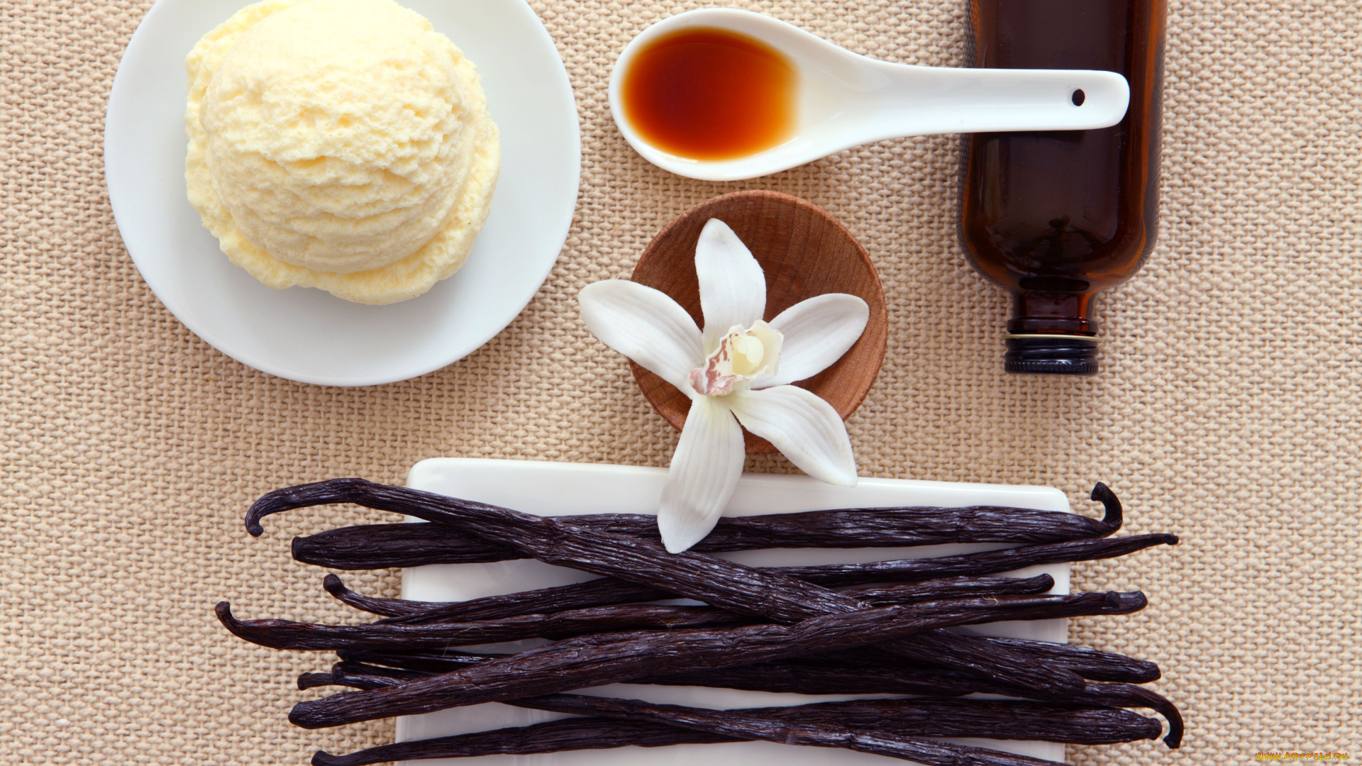 еда, мороженое, десерты, соус, ваниль, орхидея