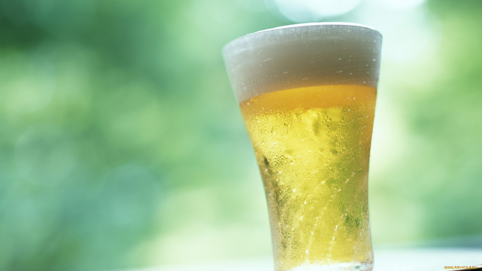 еда, напитки, пиво, бокал