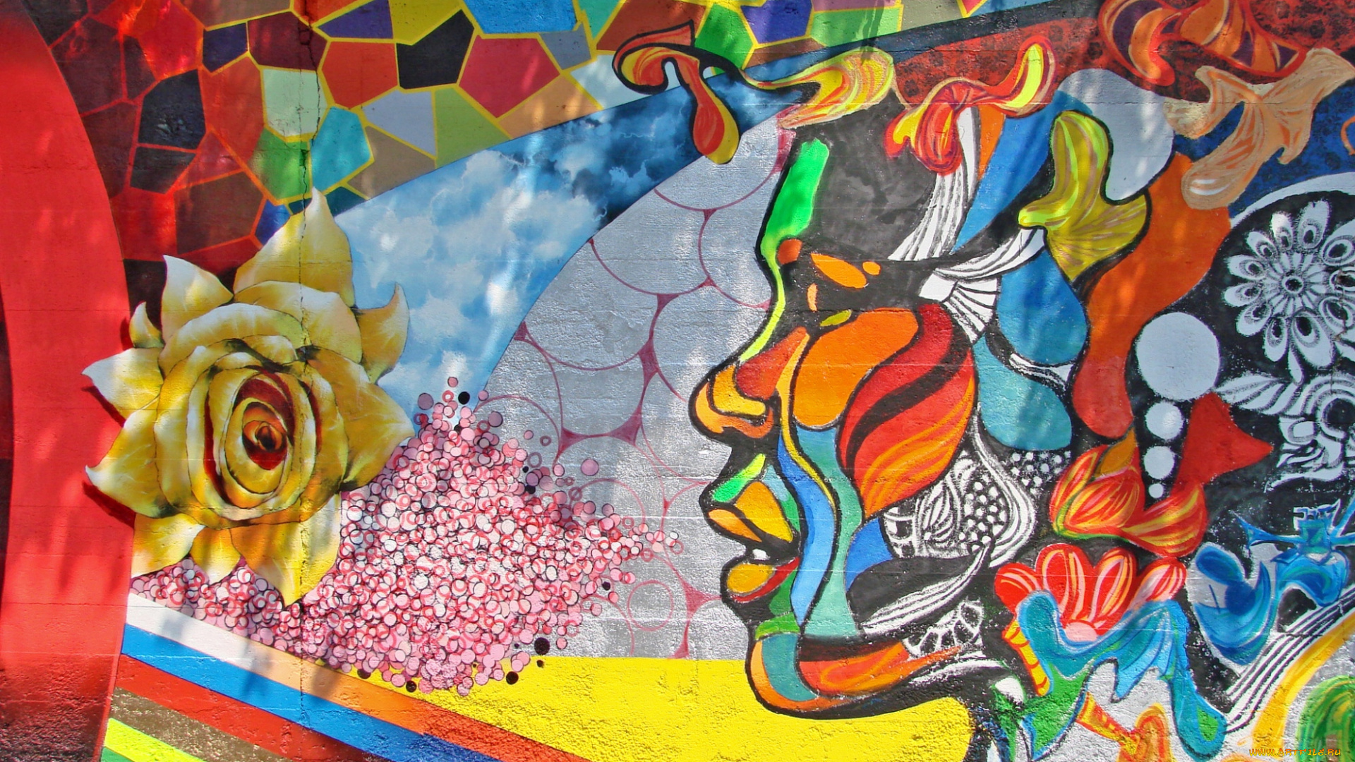 разное, граффити, стена, коаски, яркий