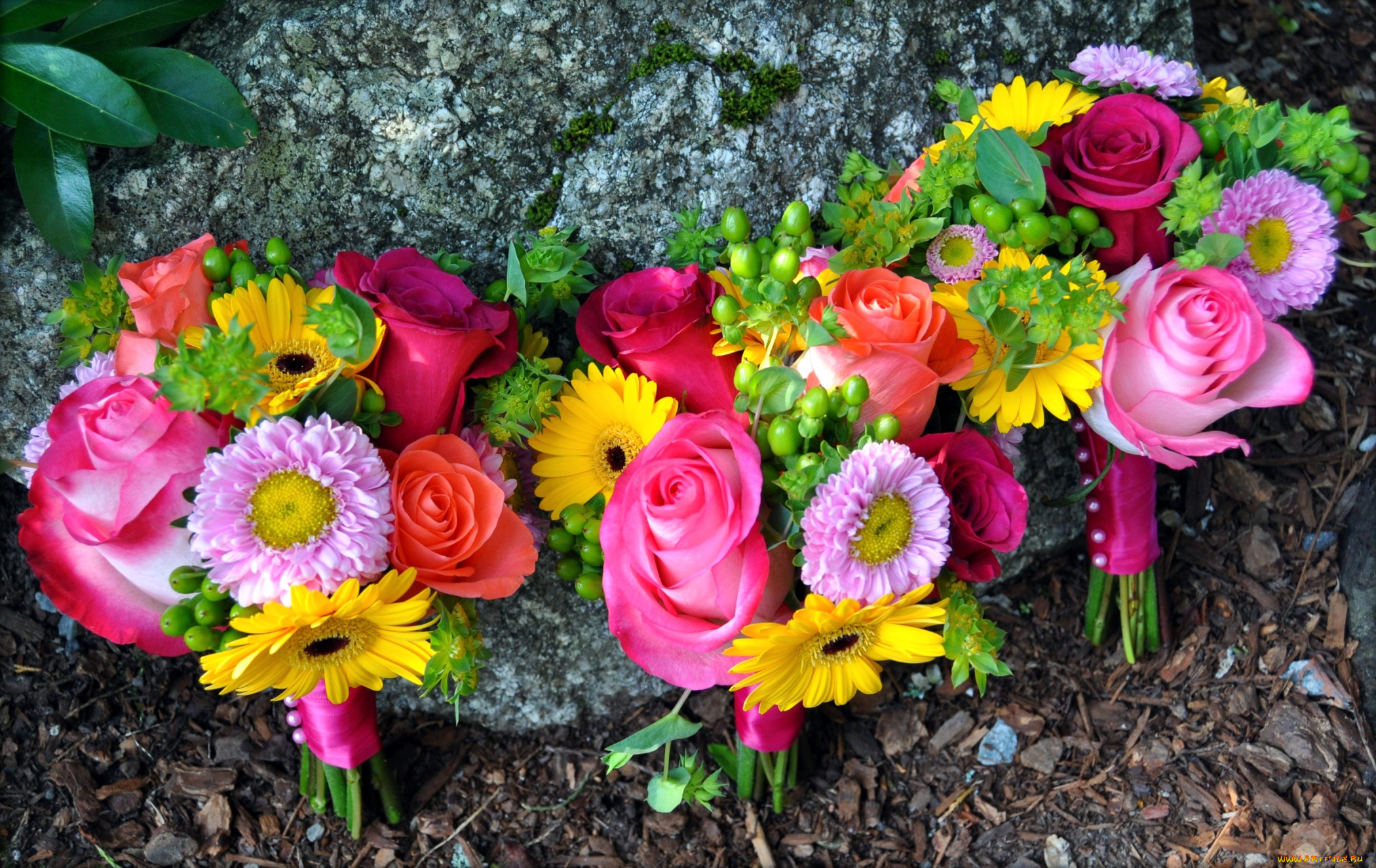 цветы, букеты, композиции, герберы, розы, астры