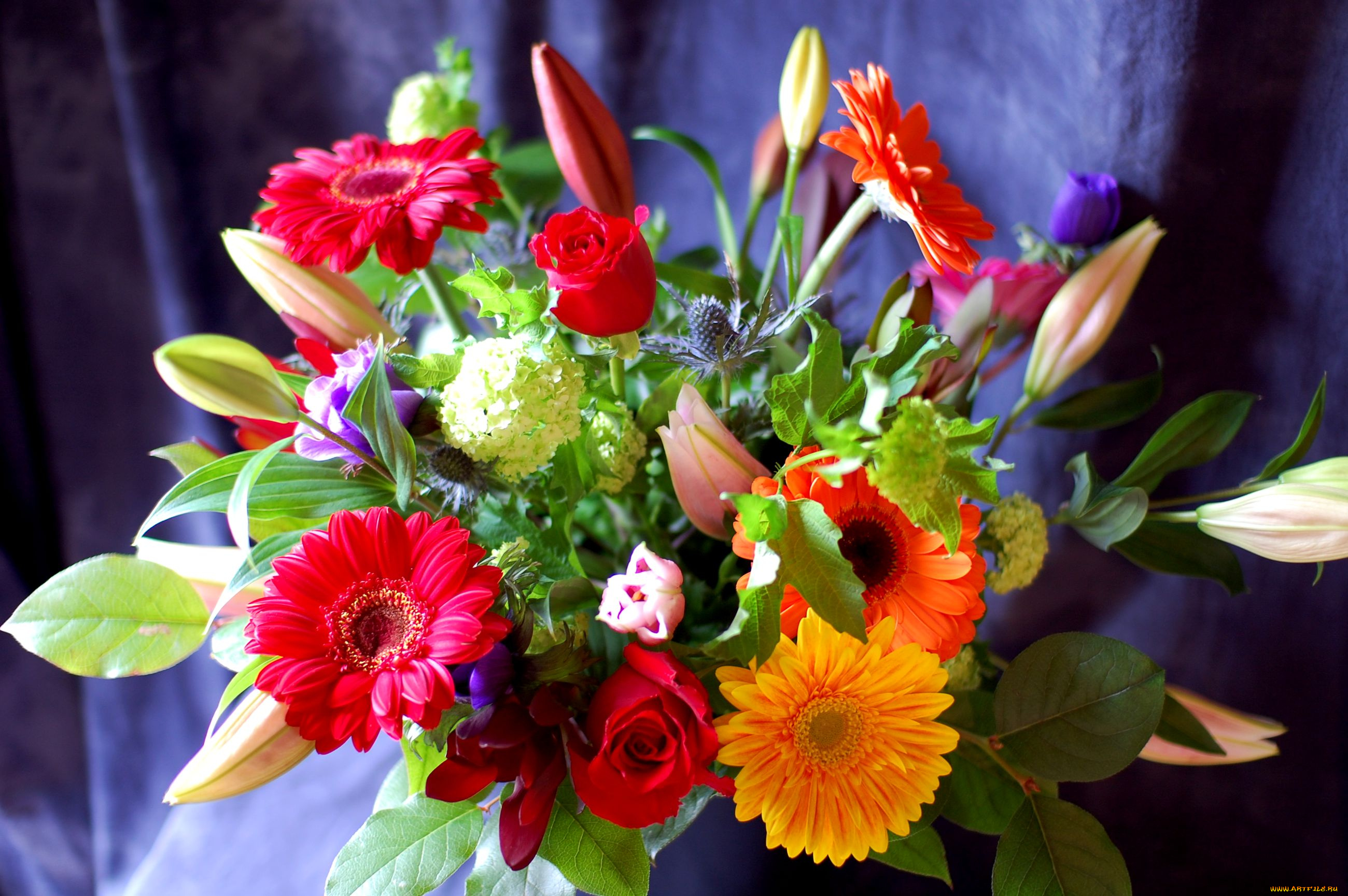 цветы, букеты, композиции, гортензия, эустома, лилии, розы, герберы