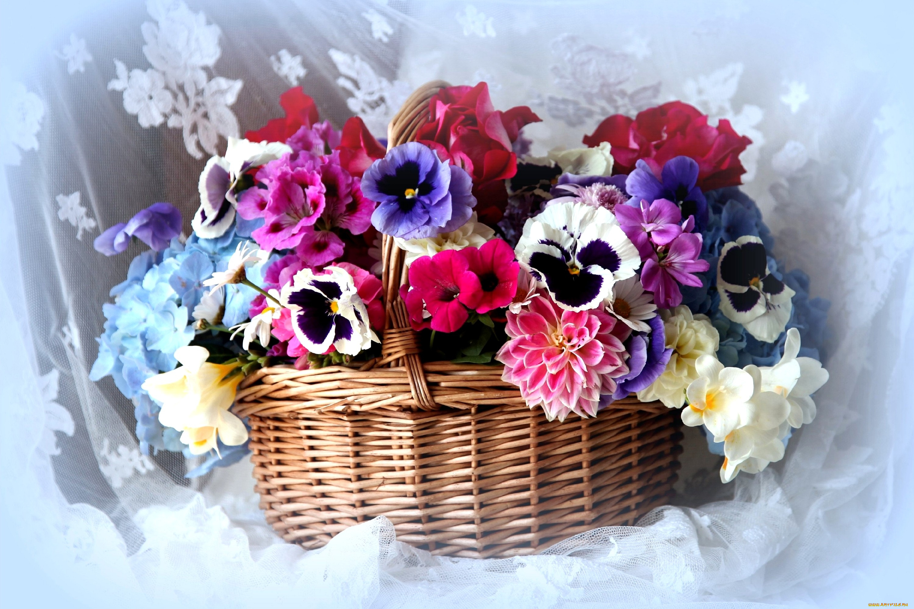 цветы, букеты, композиции, герань, петуния, гортензия, фрезия, розы, виола, корзина