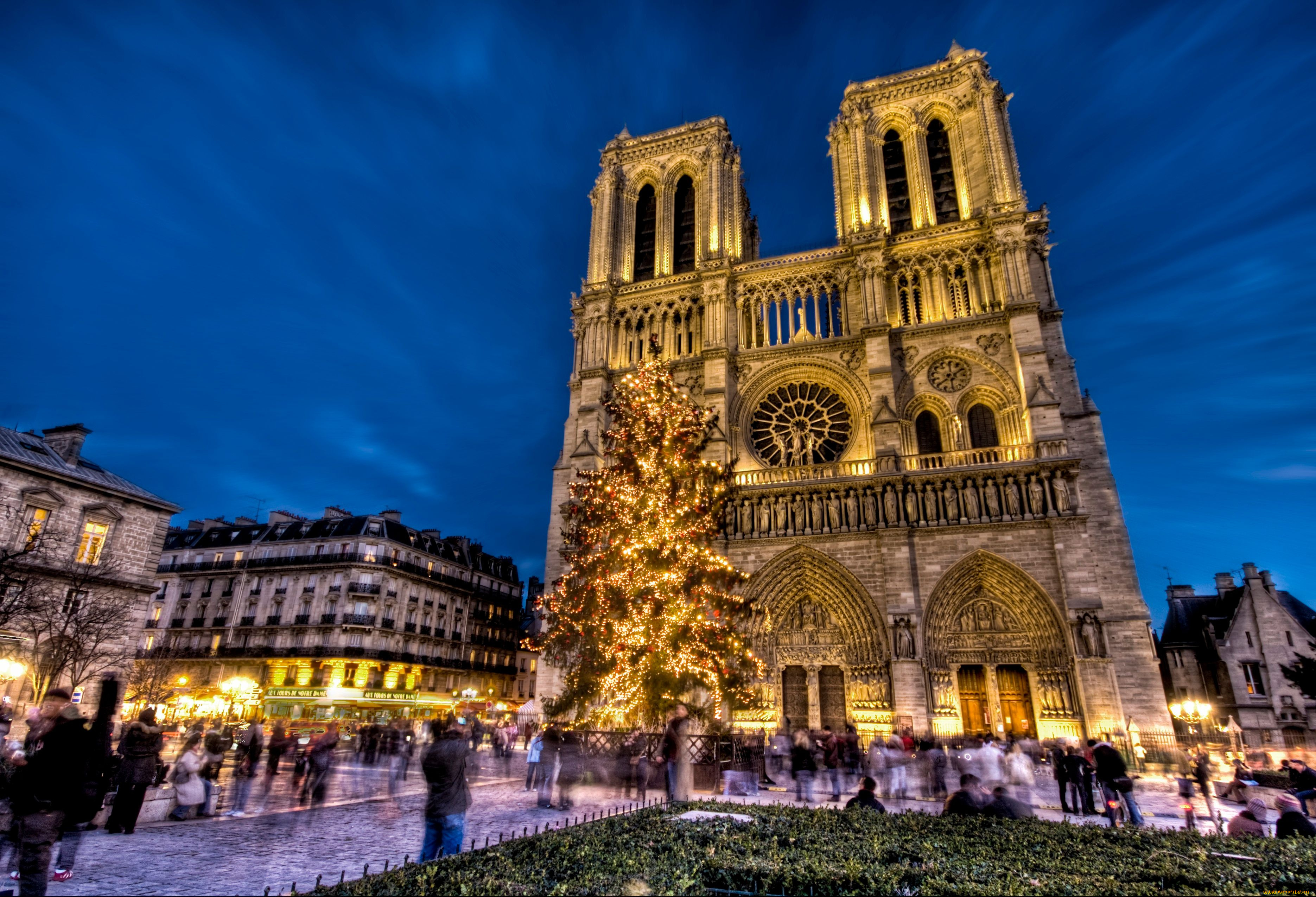 notre, dame, de, paris, города, париж, франция, france