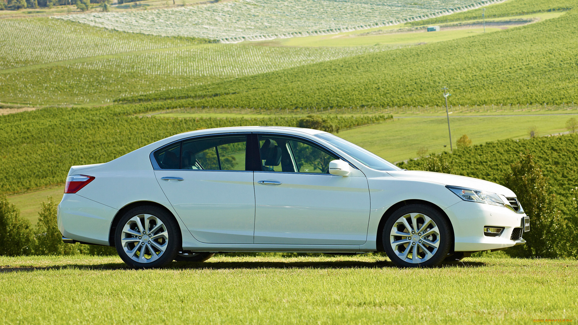 автомобили, honda, accord