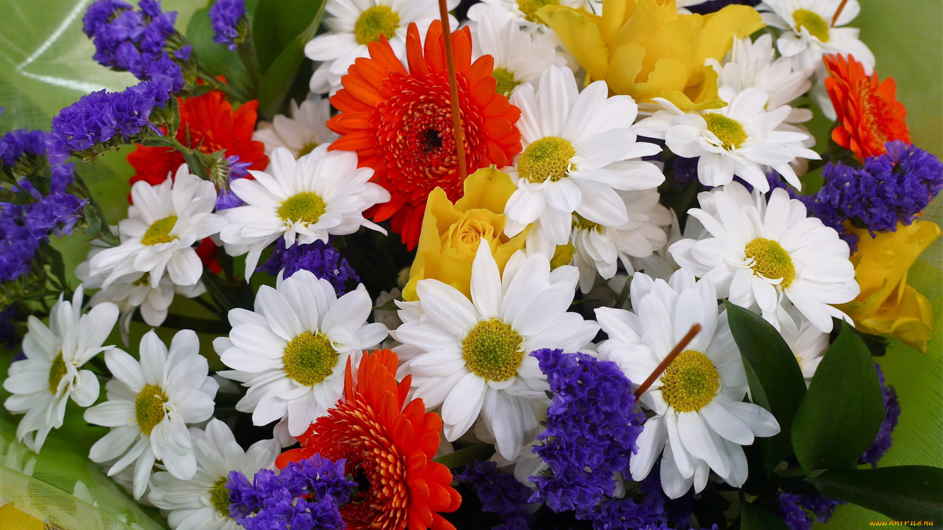 цветы, букеты, композиции, букет