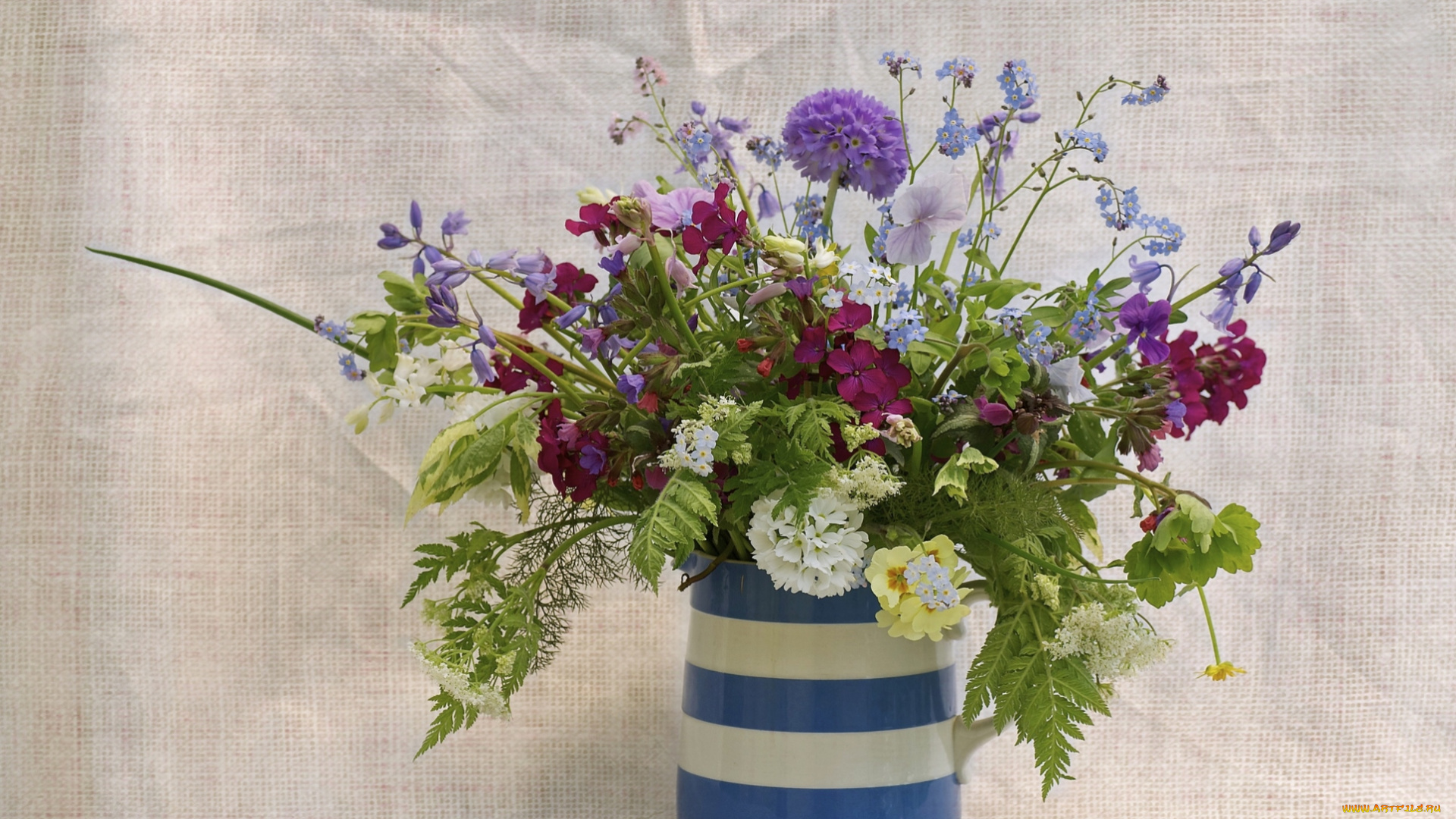 цветы, букеты, композиции, ваза, полевые