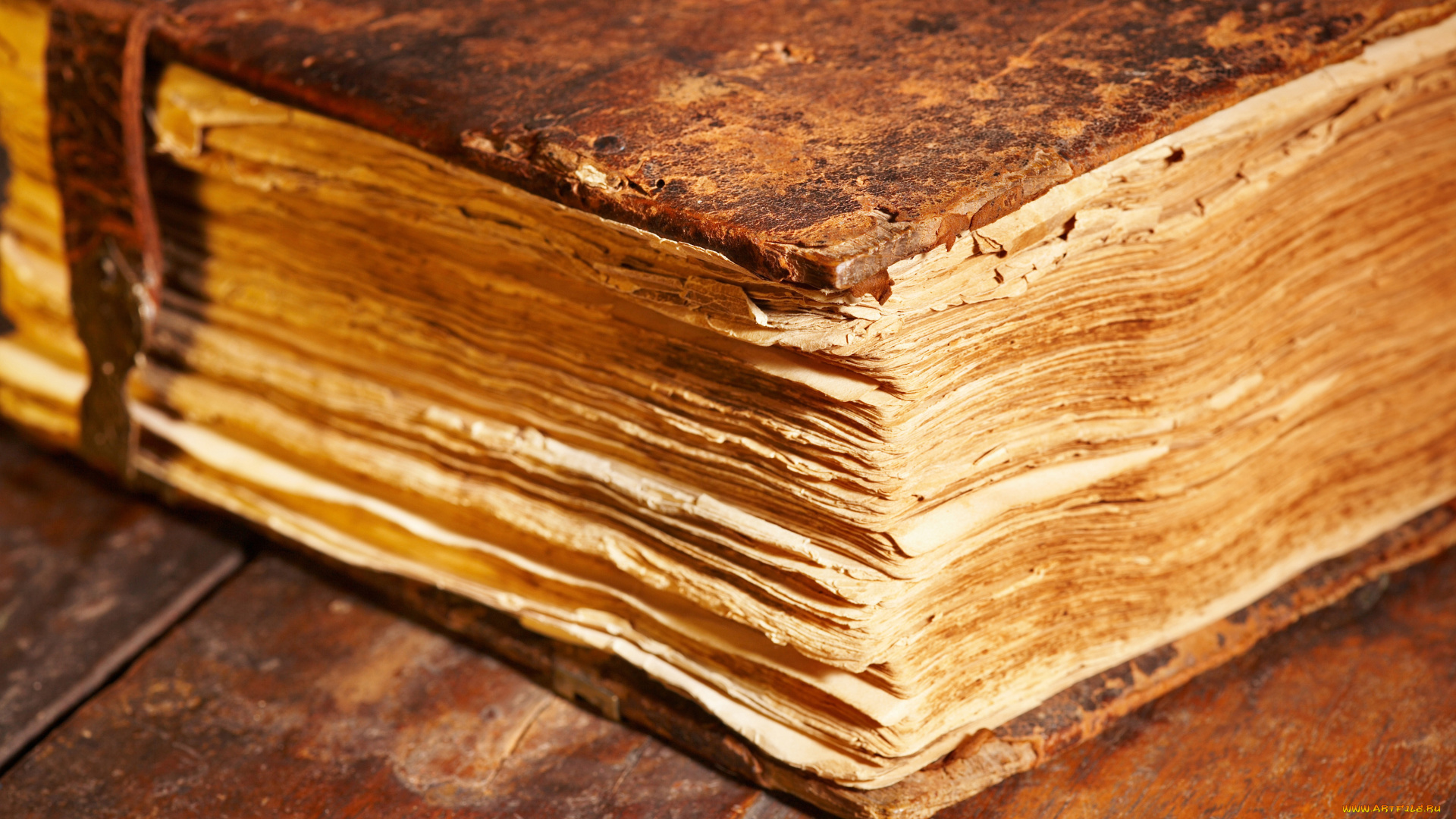 разное, канцелярия, книги, гримуар, том, листы, старая, книга