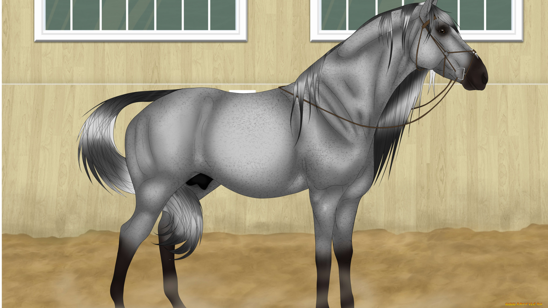 рисованные, животные, лошади, лошадь