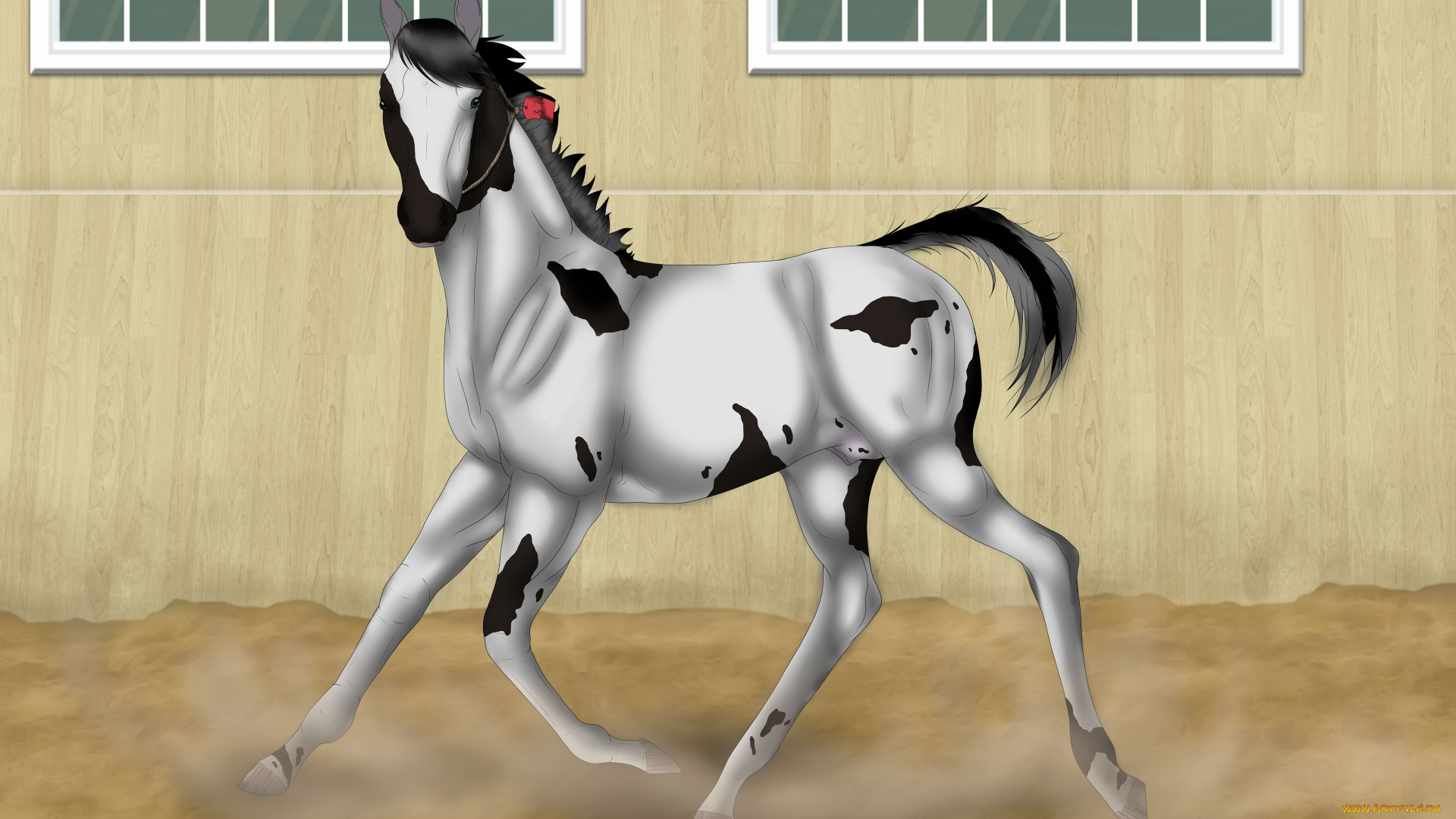 рисованные, животные, лошади, лошадь