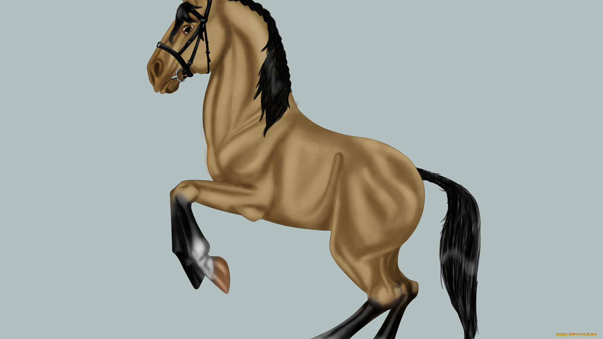 рисованные, животные, лошади, лошадь