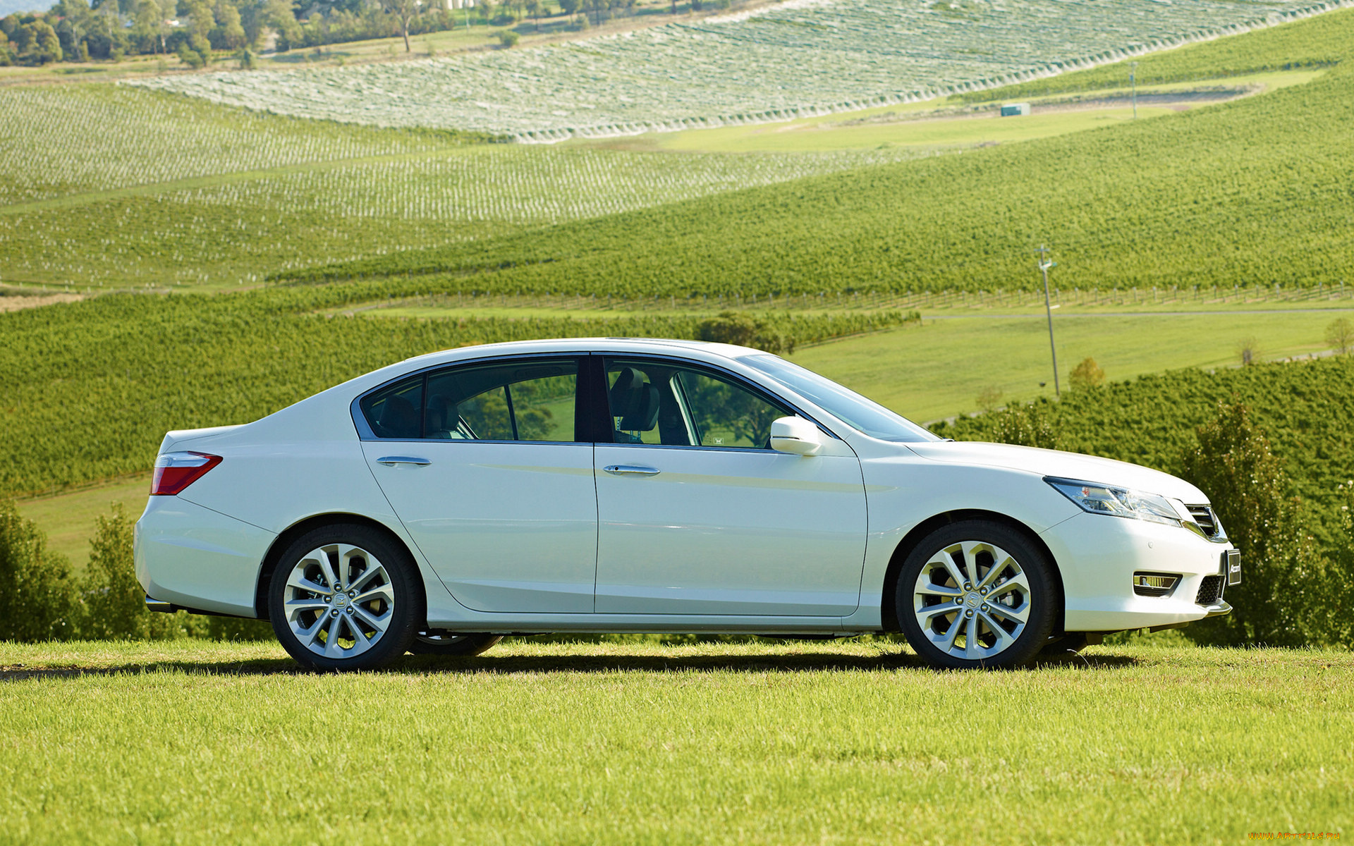 автомобили, honda, accord