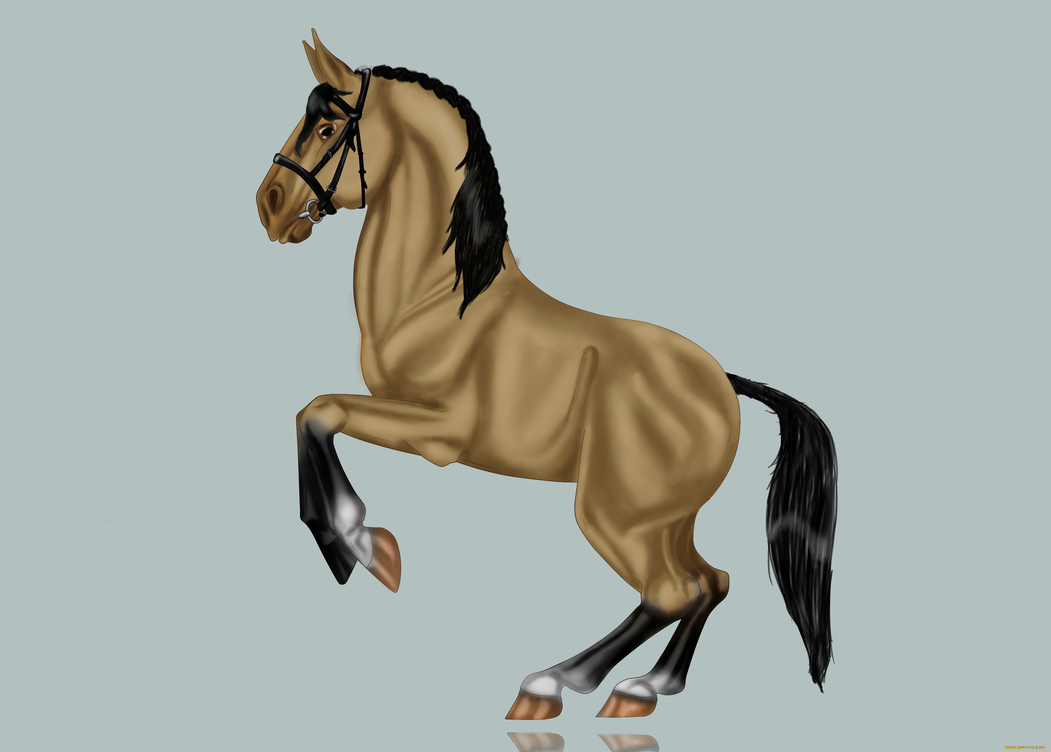 рисованные, животные, лошади, лошадь