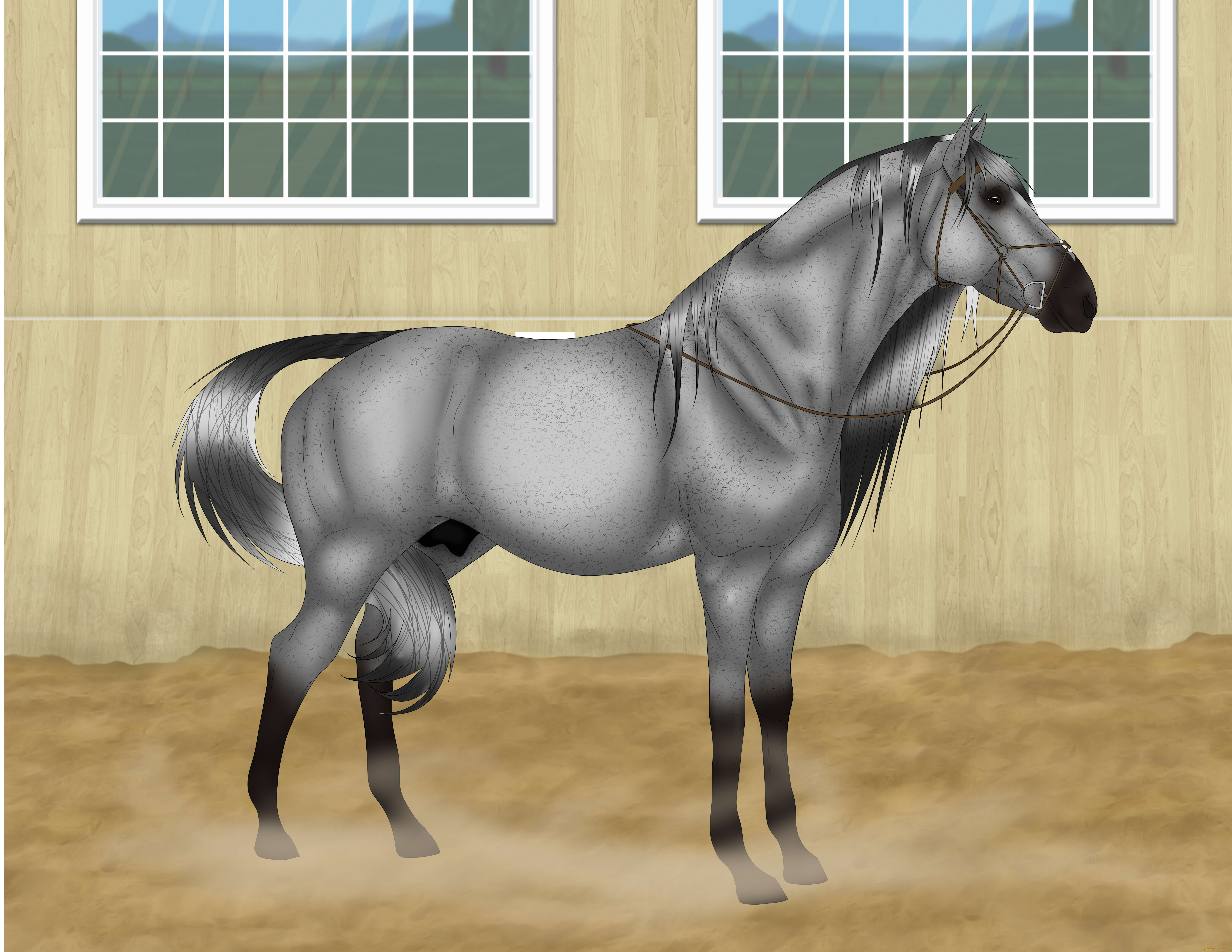 рисованные, животные, лошади, лошадь