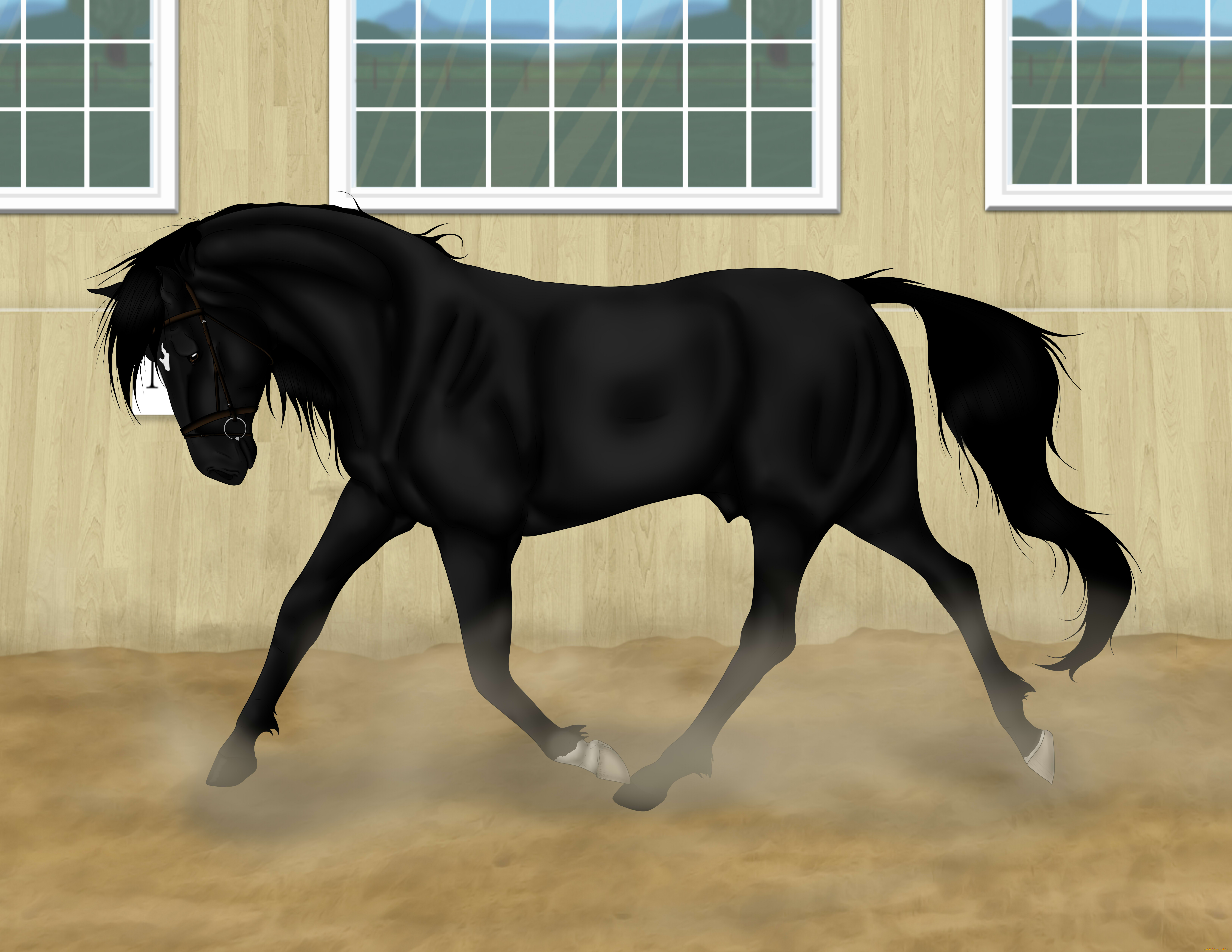 рисованные, животные, лошади, лошадь