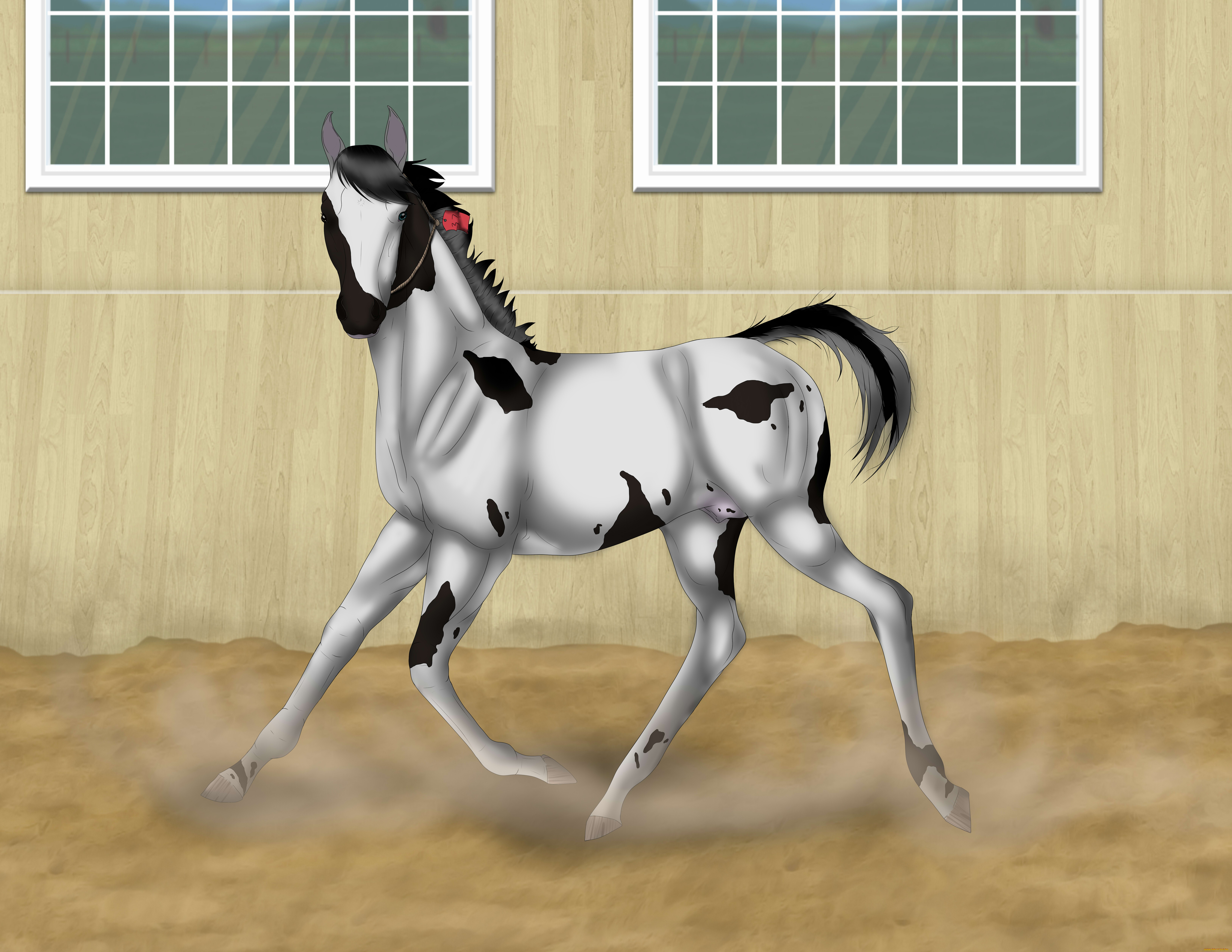 рисованные, животные, лошади, лошадь