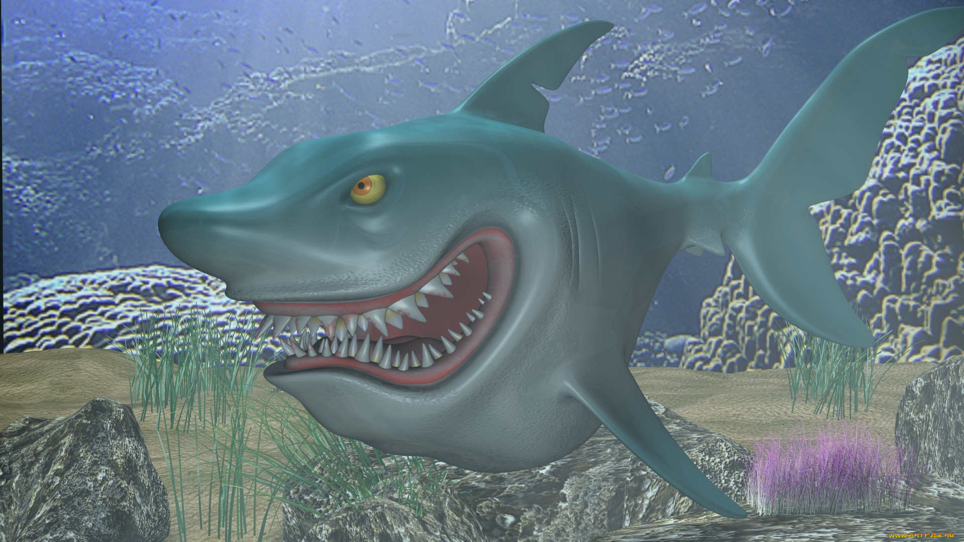 3д, графика, animals, , животные, акула