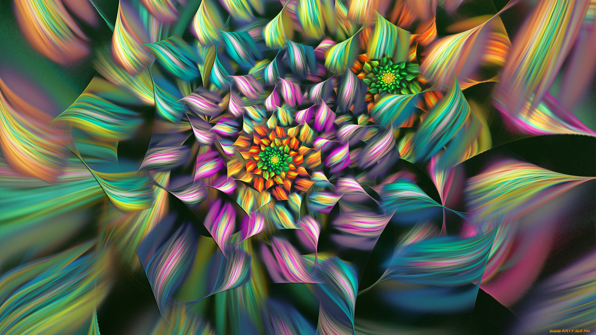 3д, графика, flowers, , цветы, цветок, цветные, линии, лепестки