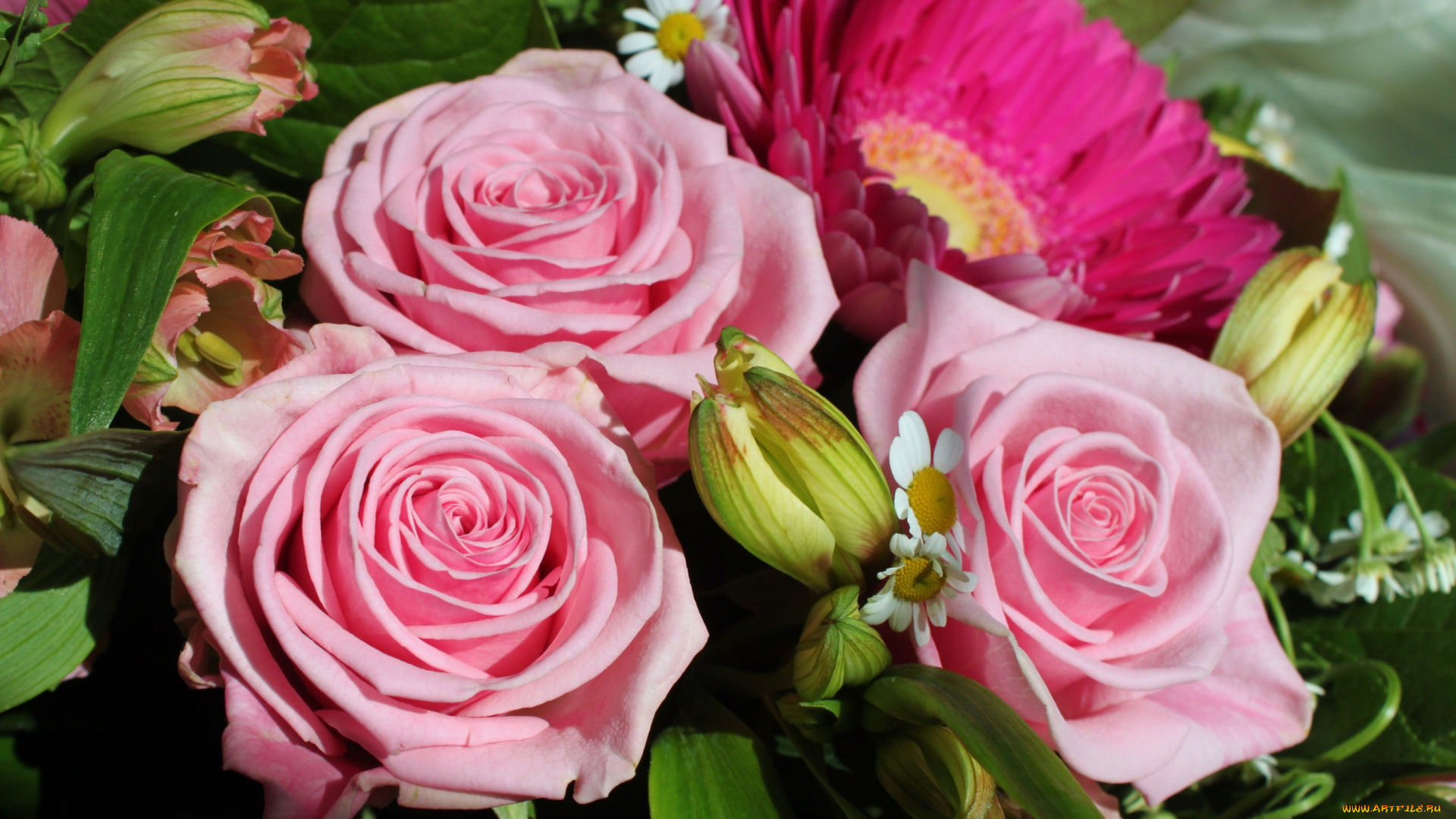 цветы, разные, вместе, лилии, розы