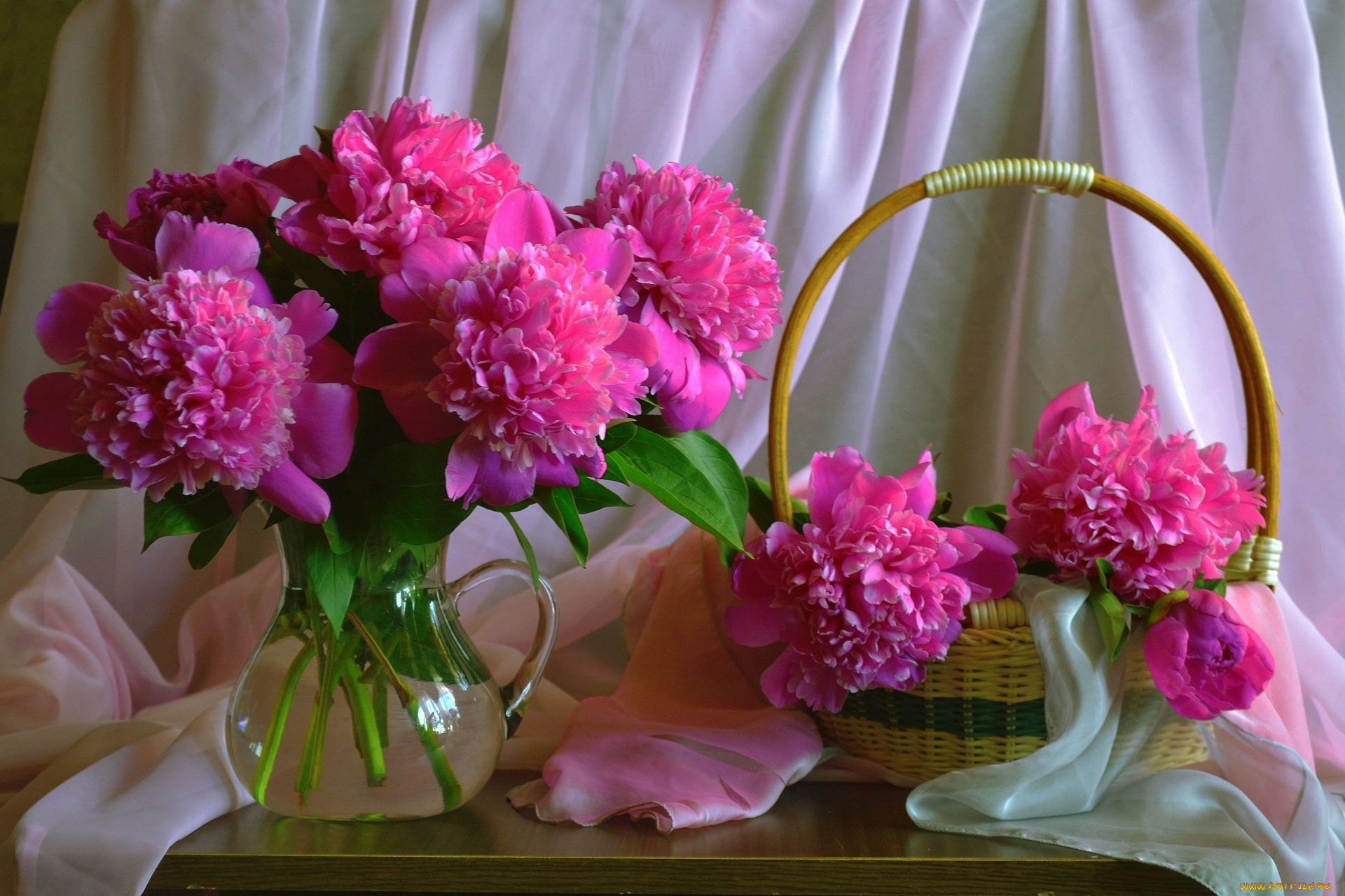 цветы, пионы, розовый