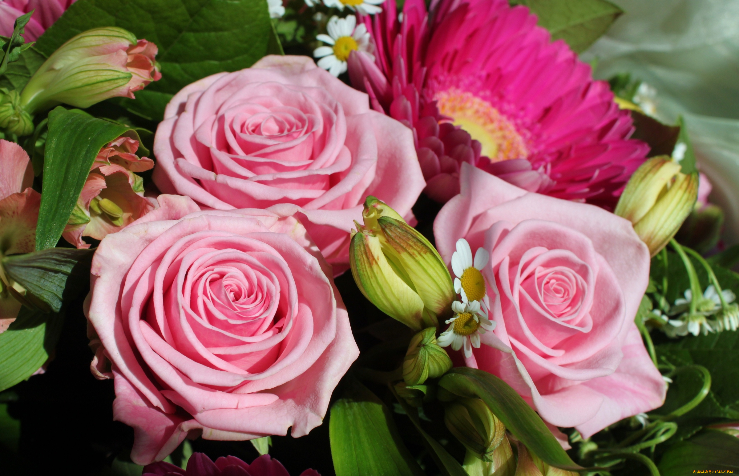 цветы, разные, вместе, лилии, розы