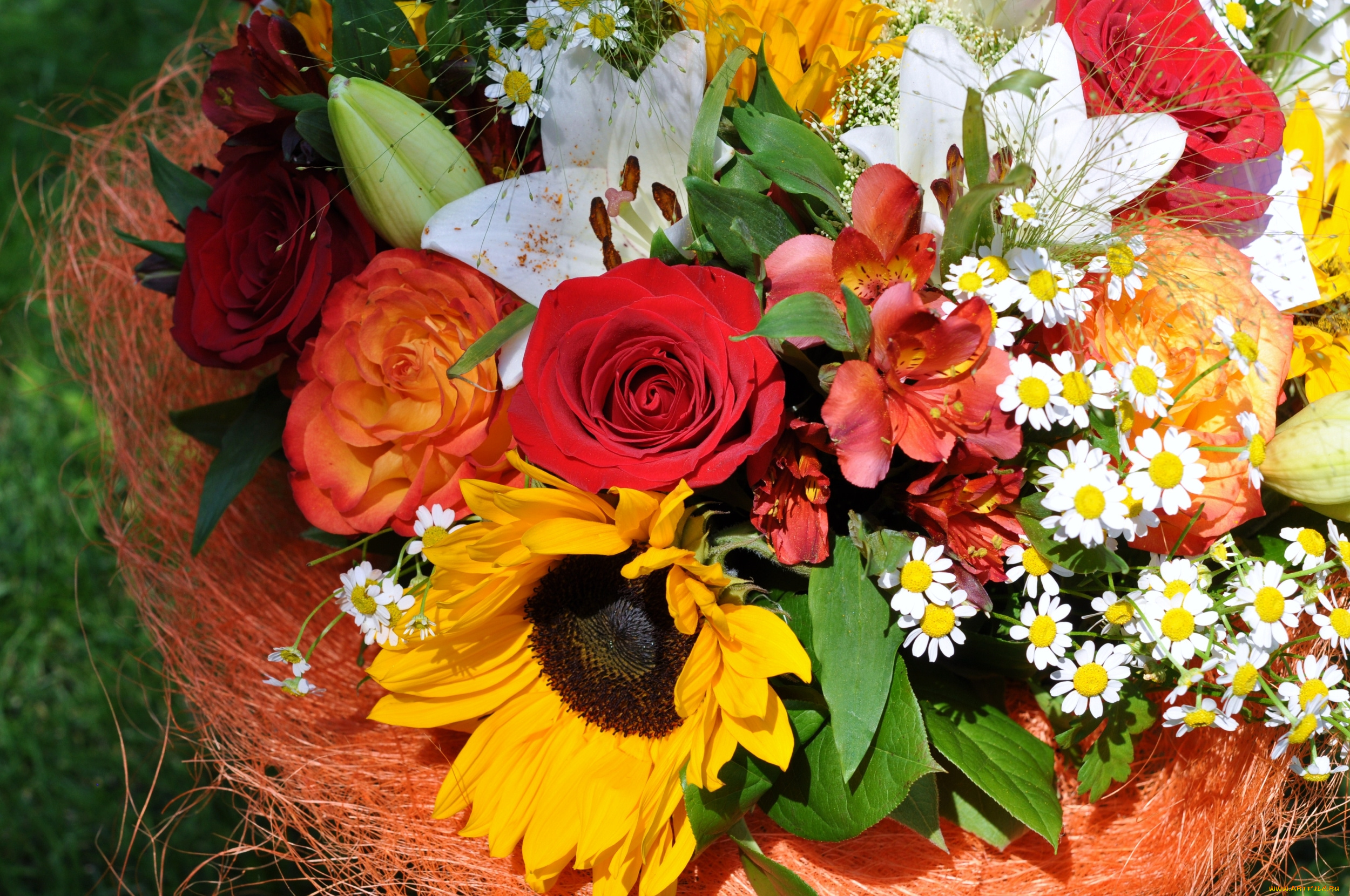 цветы, букеты, , композиции, подсолнухи, ромашки, лилии, розы