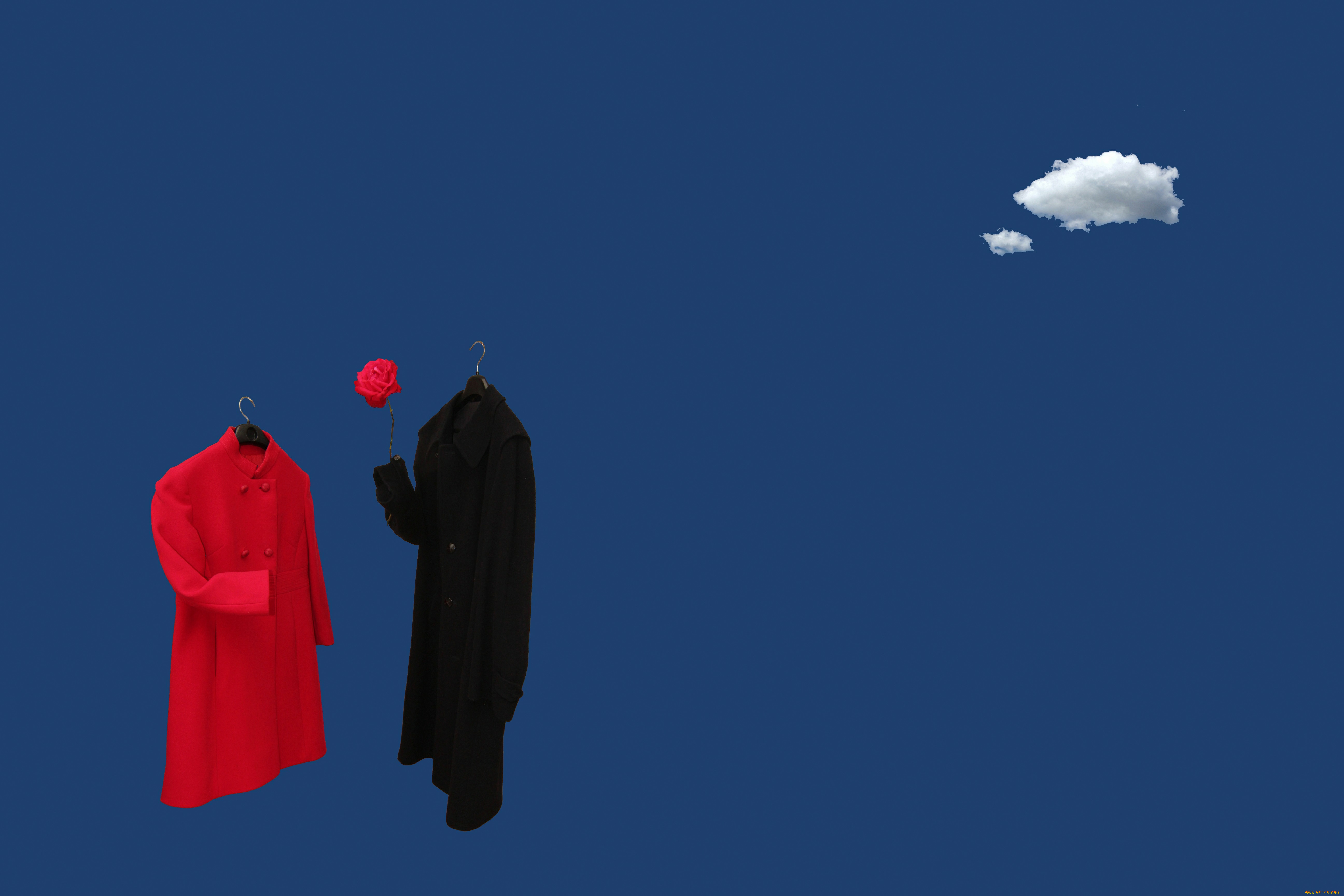 рисованные, минимализм, свидание, цветок, облако, женщина, мужчина, одежда