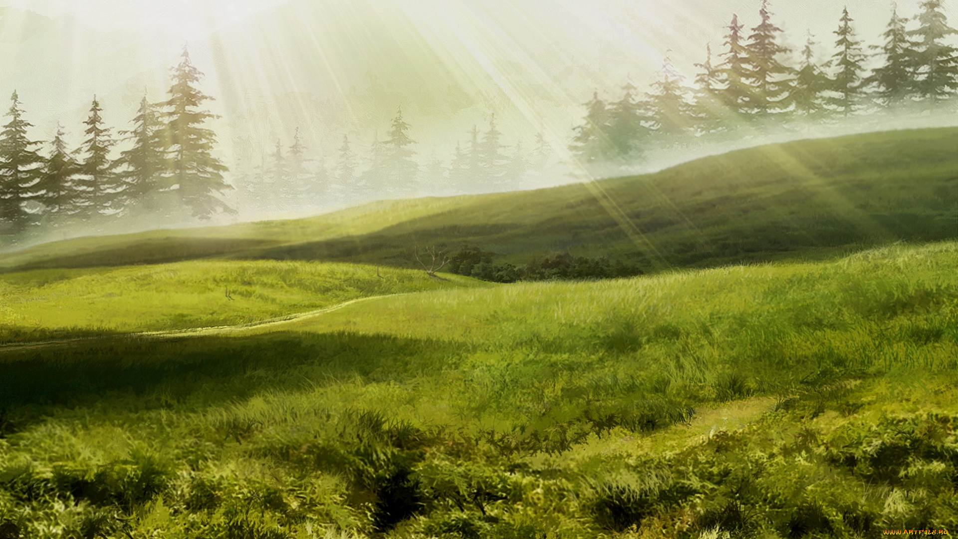 рисованное, природа, лучи, деревья, утро, луг, samurai, masa