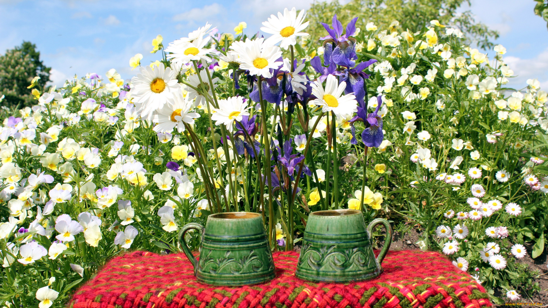 цветы, разные, вместе, маргаритки, ромашки, анютины, глазки, ирисы