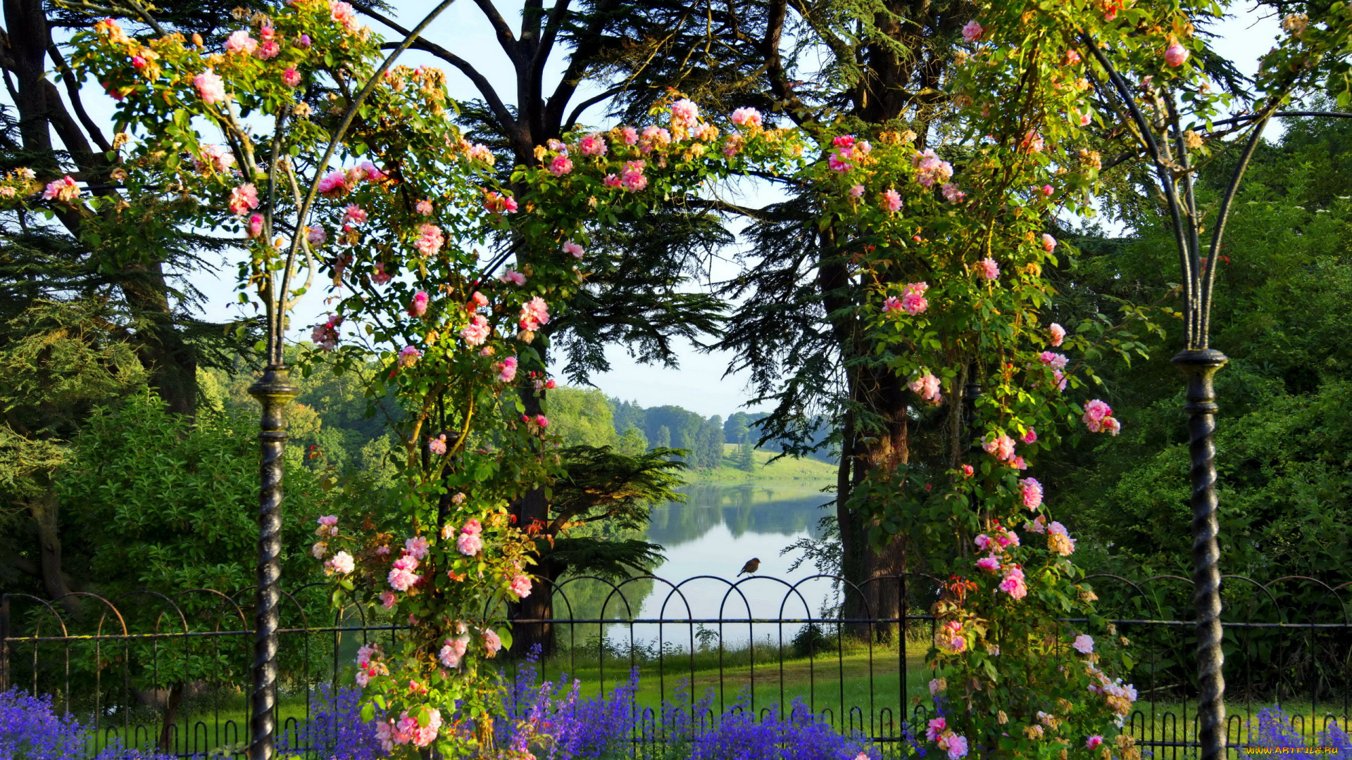 цветы, разные, вместе, розы, арка, озеро