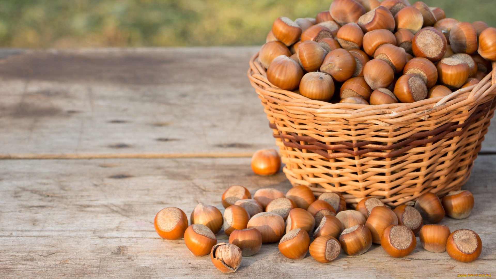 еда, орехи, , каштаны, , какао-бобы
