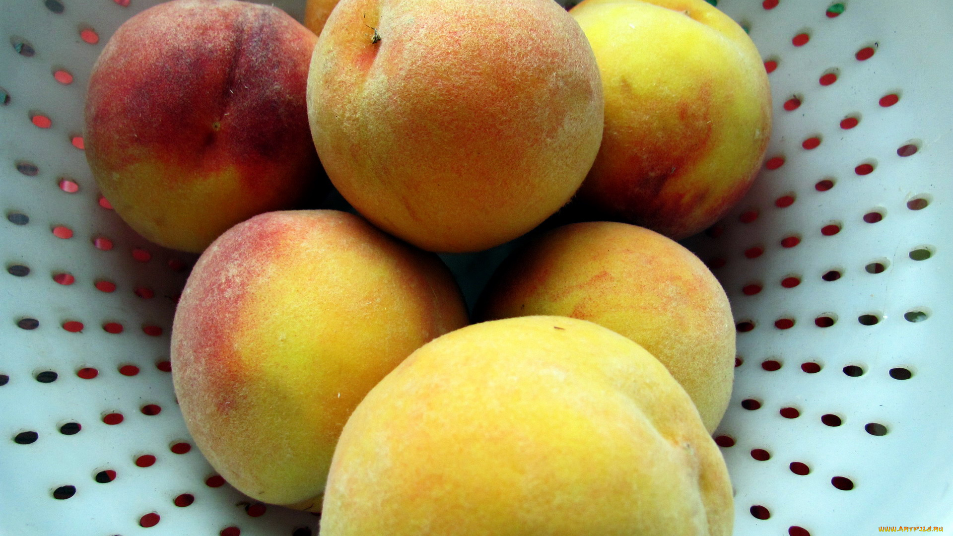 еда, персики, , сливы, , абрикосы