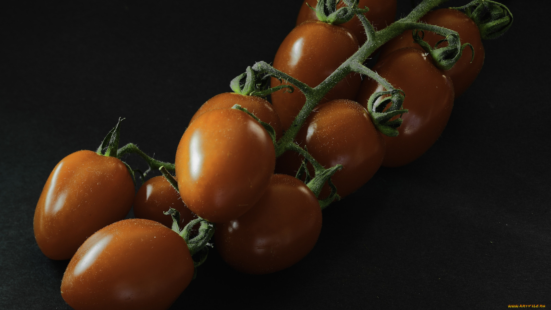 еда, помидоры, томаты