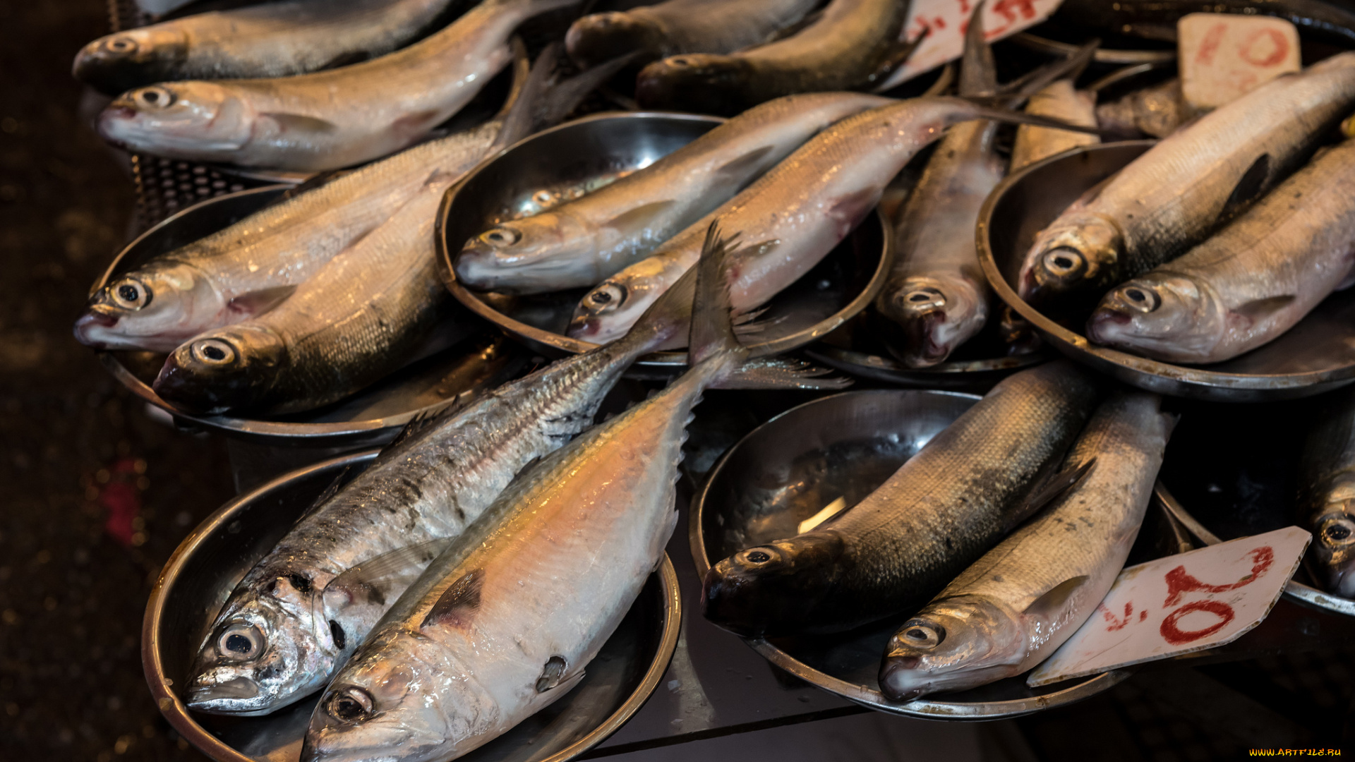 еда, рыба, , морепродукты, , суши, , роллы, сельдь